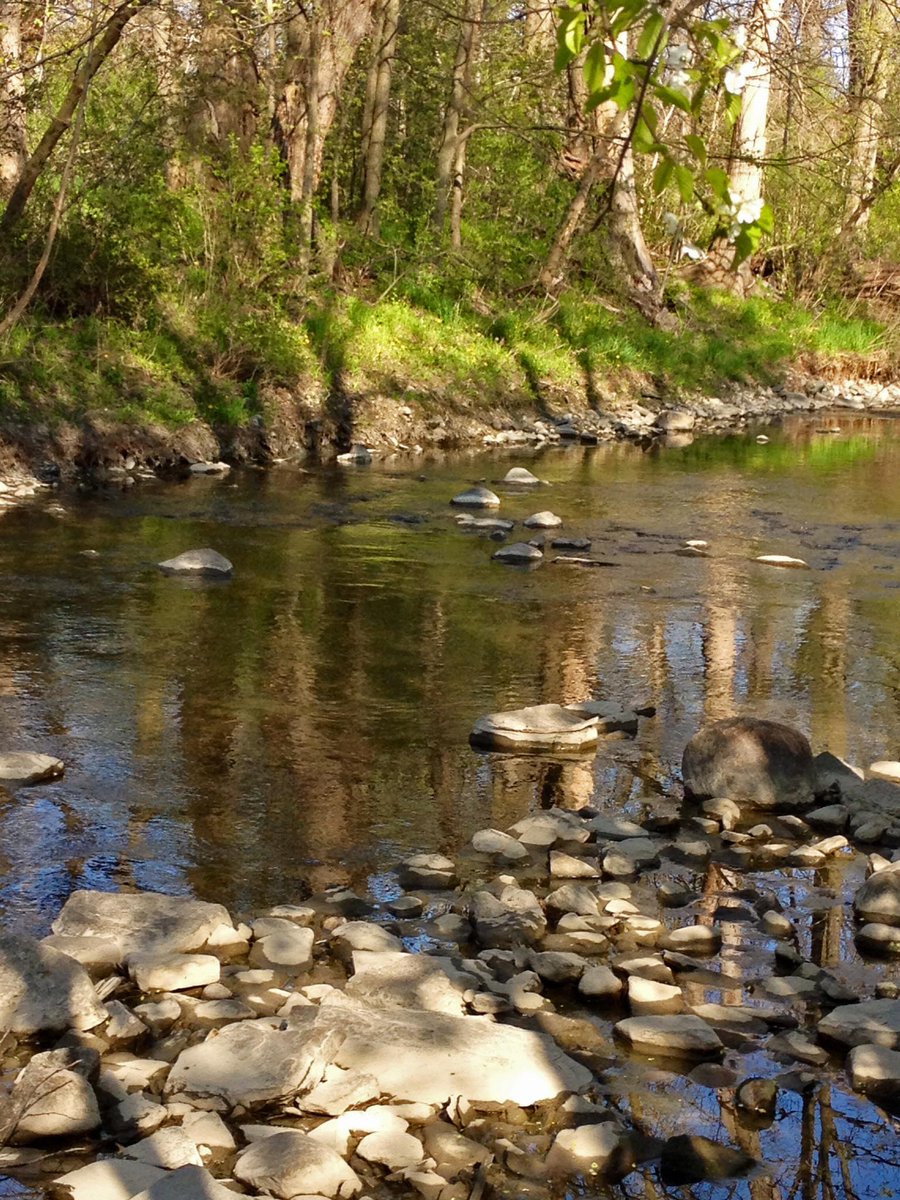 Mimico Creek glistening for Nina Munteanu's Water Is... book launch. (Photo via Nina Munteanu @aliennextdoor )