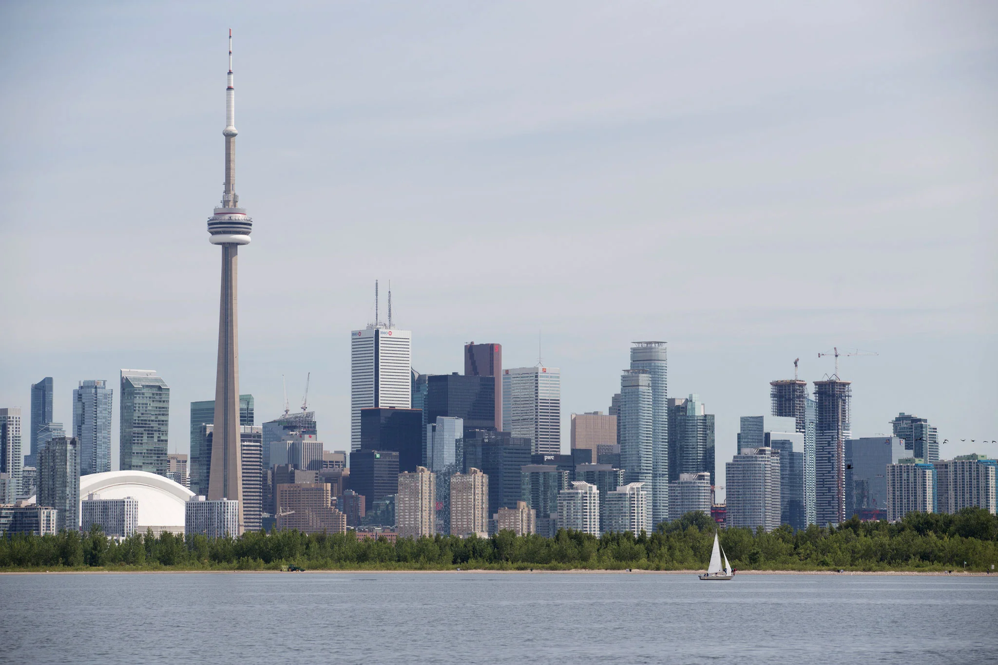 The view of Toronto from the water. (Photo by Dylan Neild)