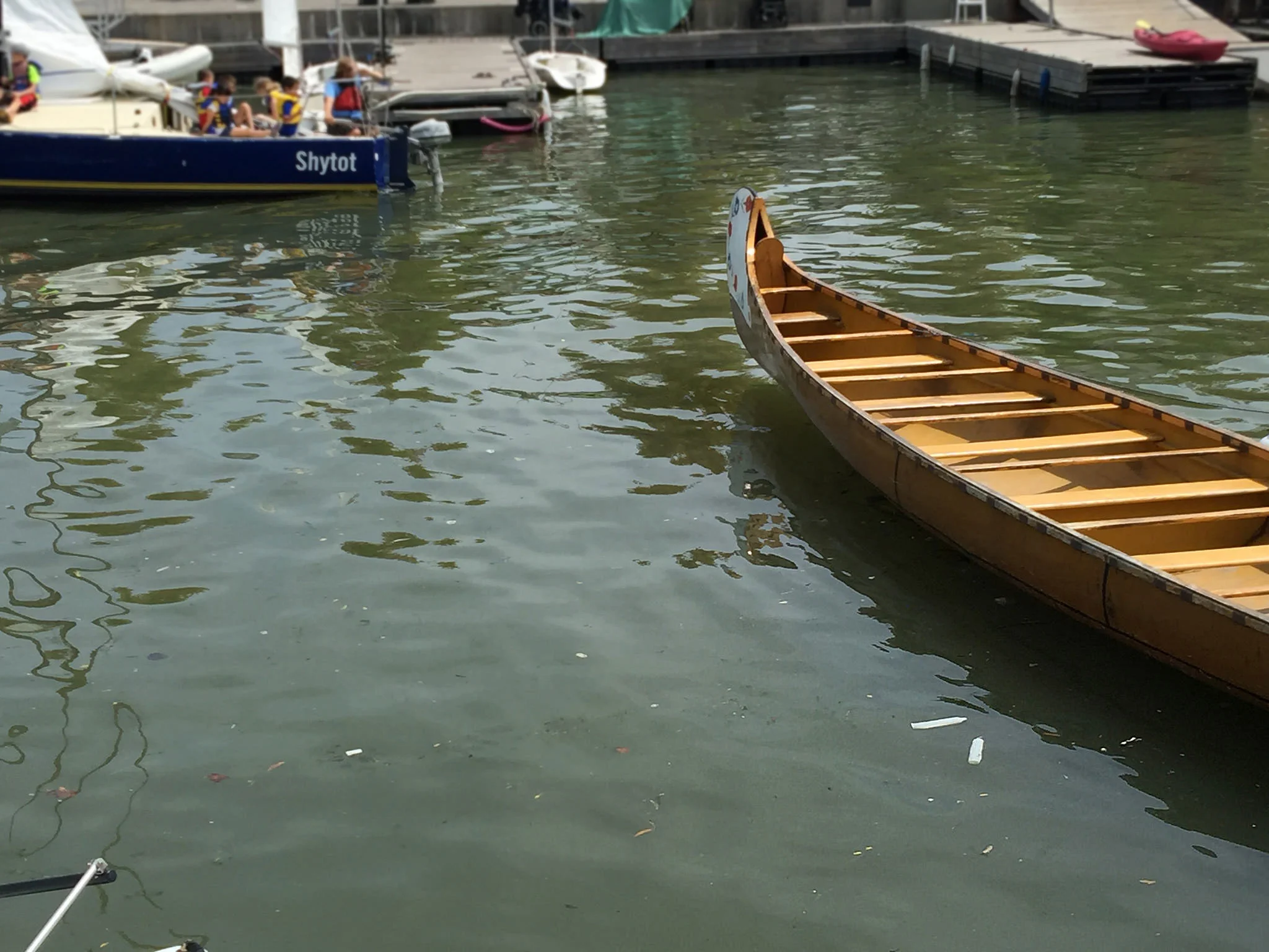 Two condoms seen floating side by side in Toronto's inner harbour. (Photo by Lake Ontario Waterkeeper)