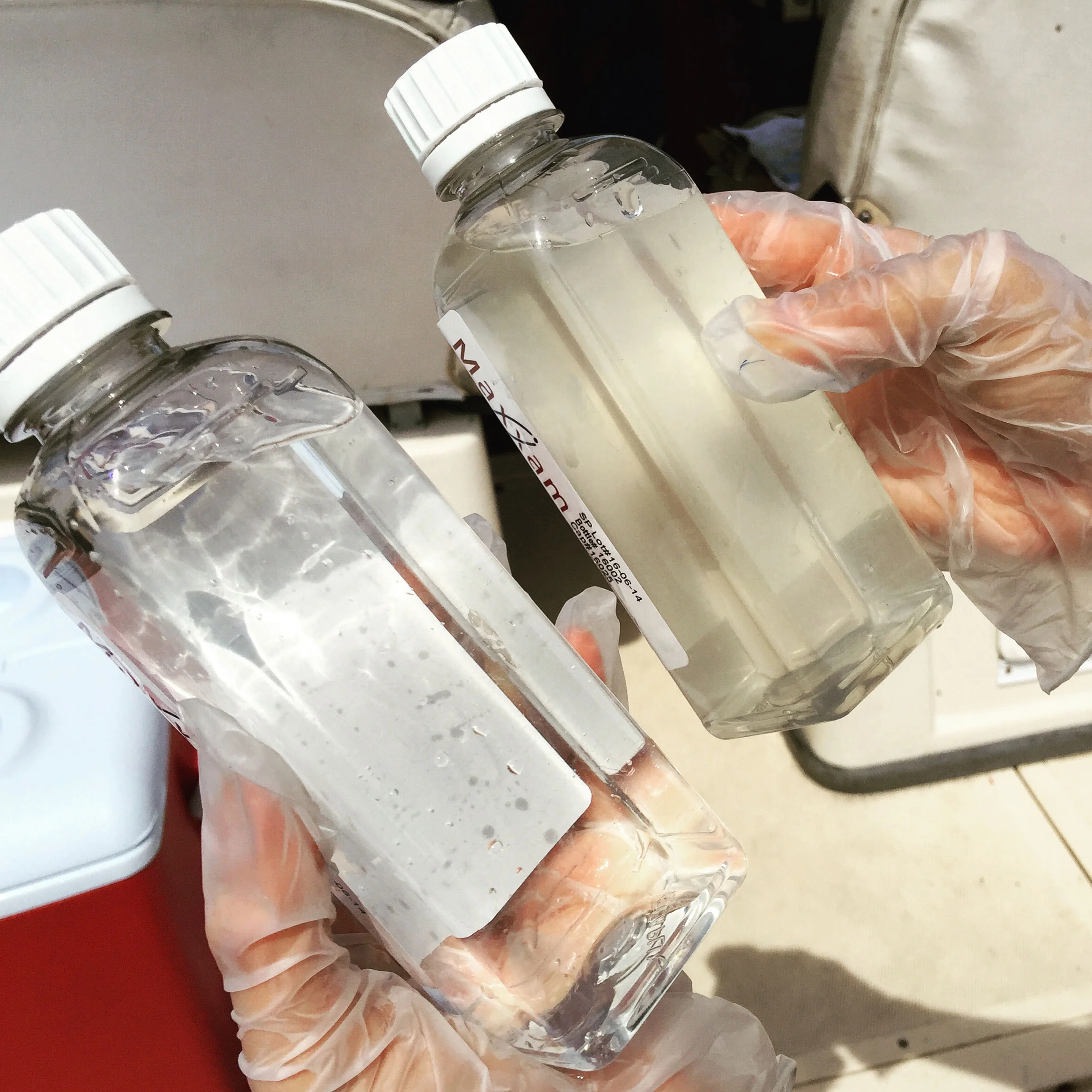 Two water samples taken from Toronto's inner harbour this summer. (Photo by Lake Ontario Waterkeeper)