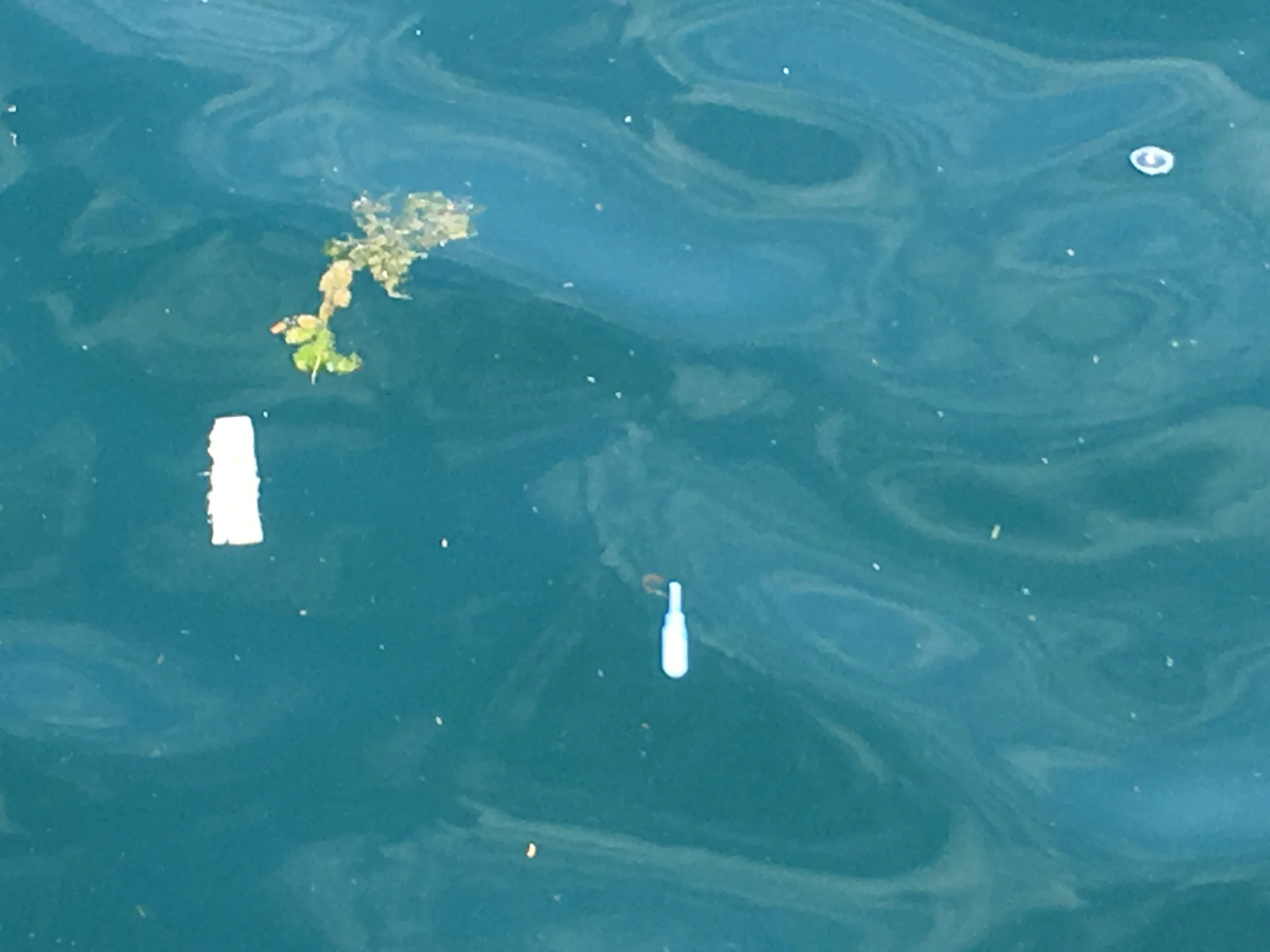 Cloudy turquoise/aquamarine, full picture. (Photo by Lake Ontario Waterkeeper)