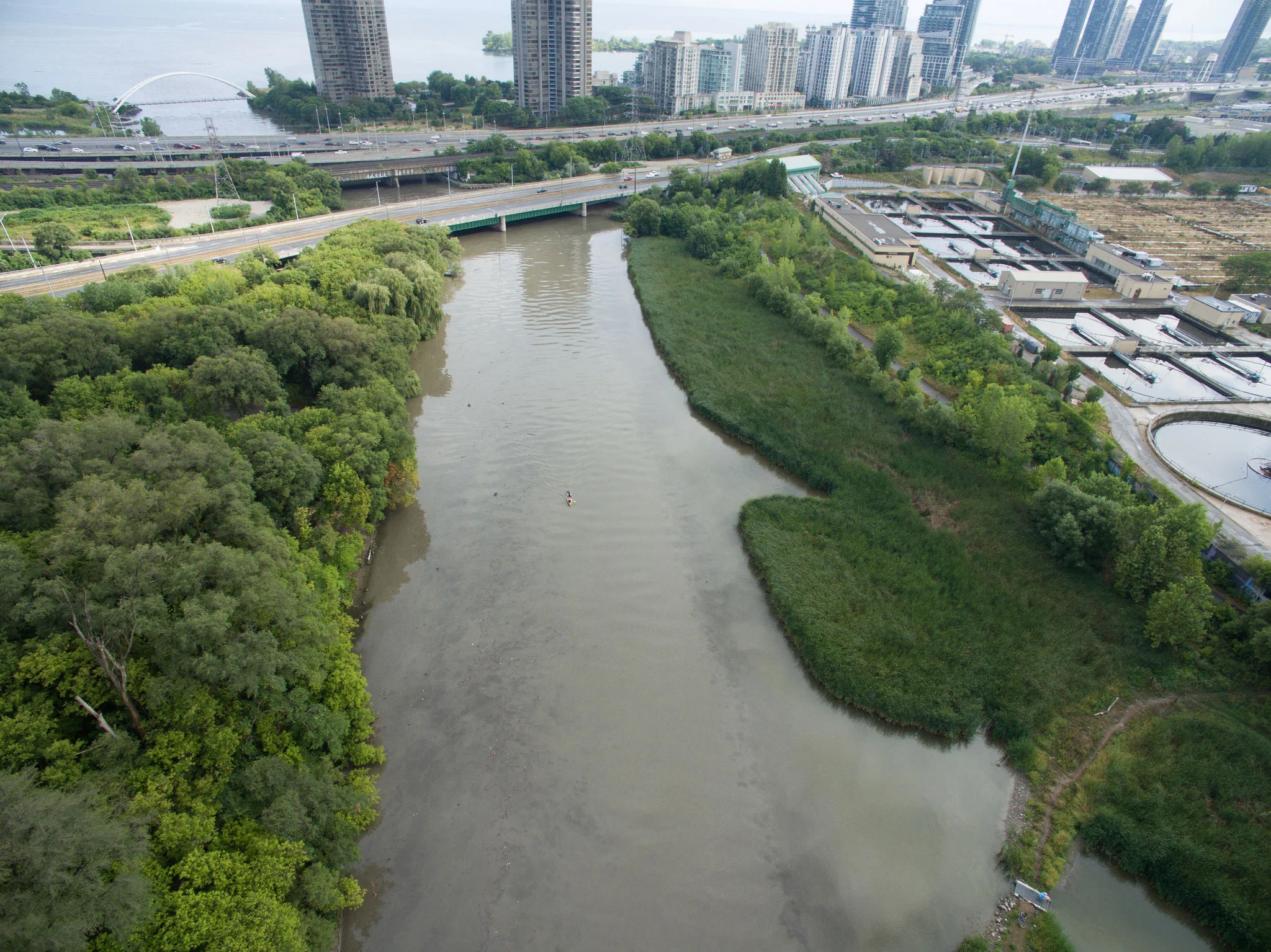 Chalky brown, full photo. (Photo by Lake Ontario Waterkeeper)