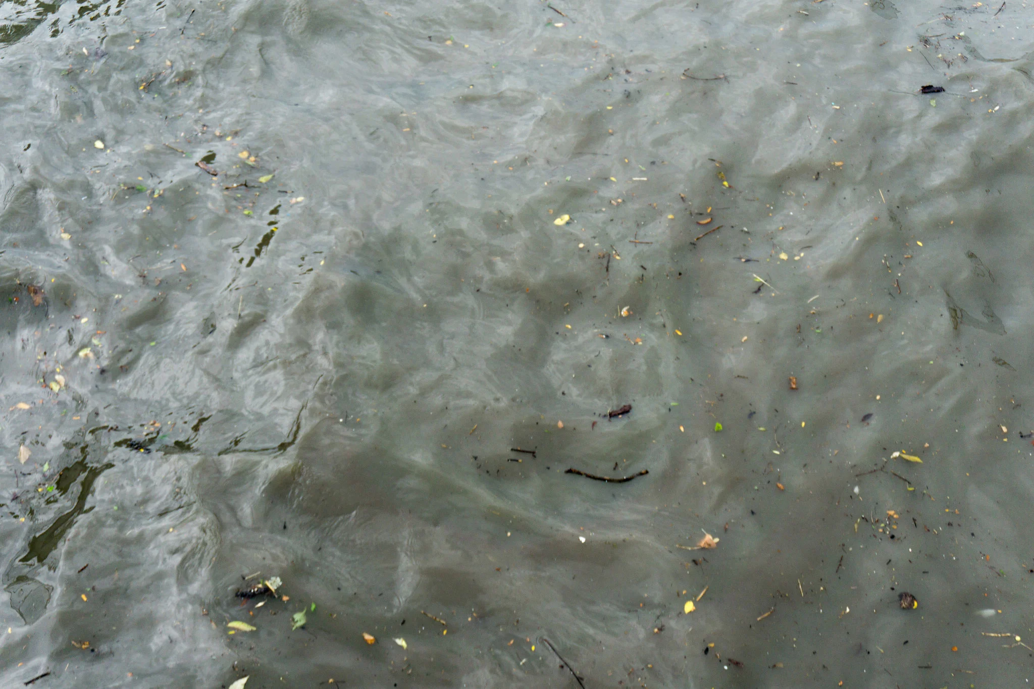 Soupy brown-grey, full photo. (Photo by Lake Ontario Waterkeeper)