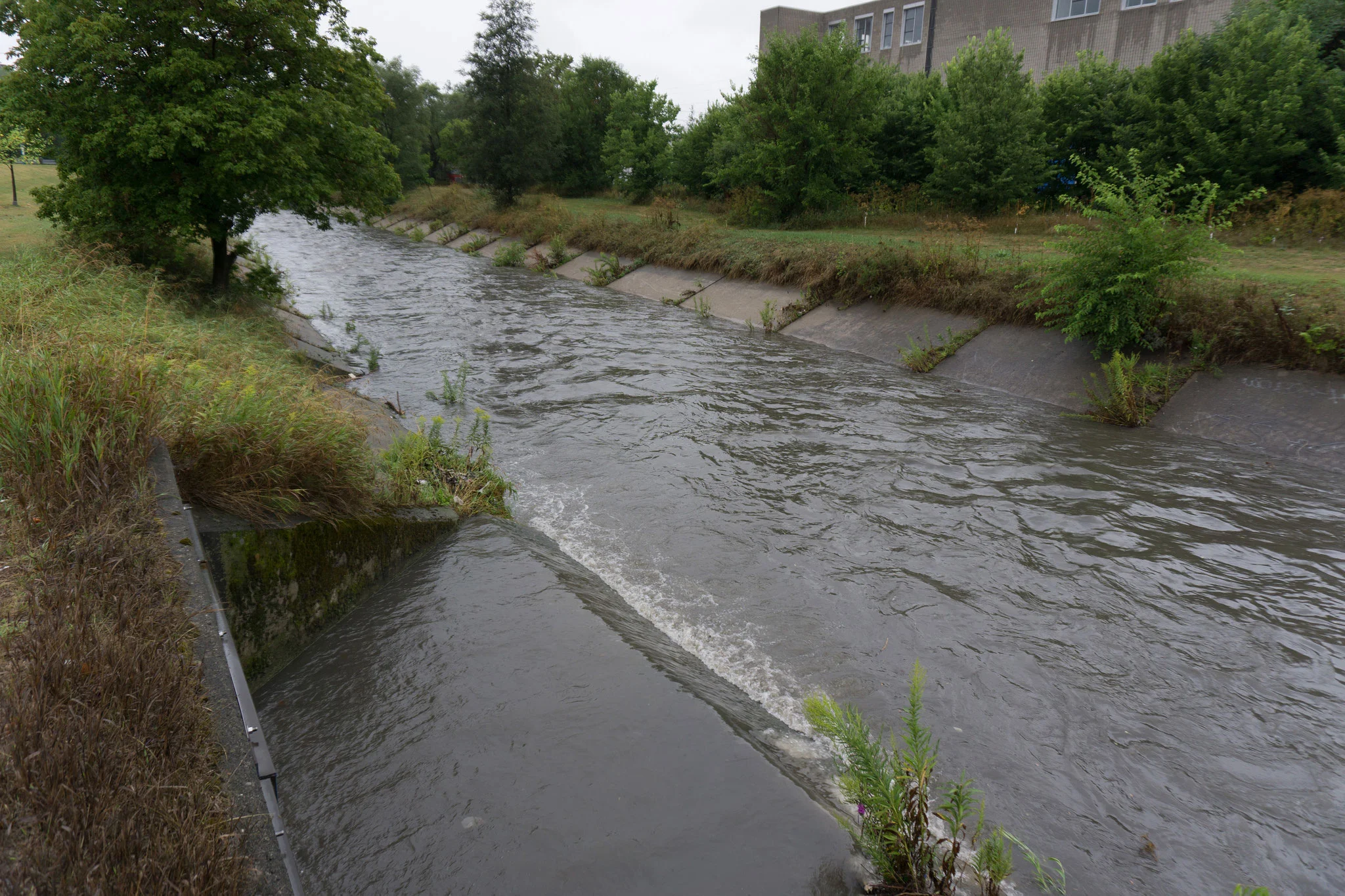 Dark brown, full photo. (Photo by Lake Ontario Waterkeeper)