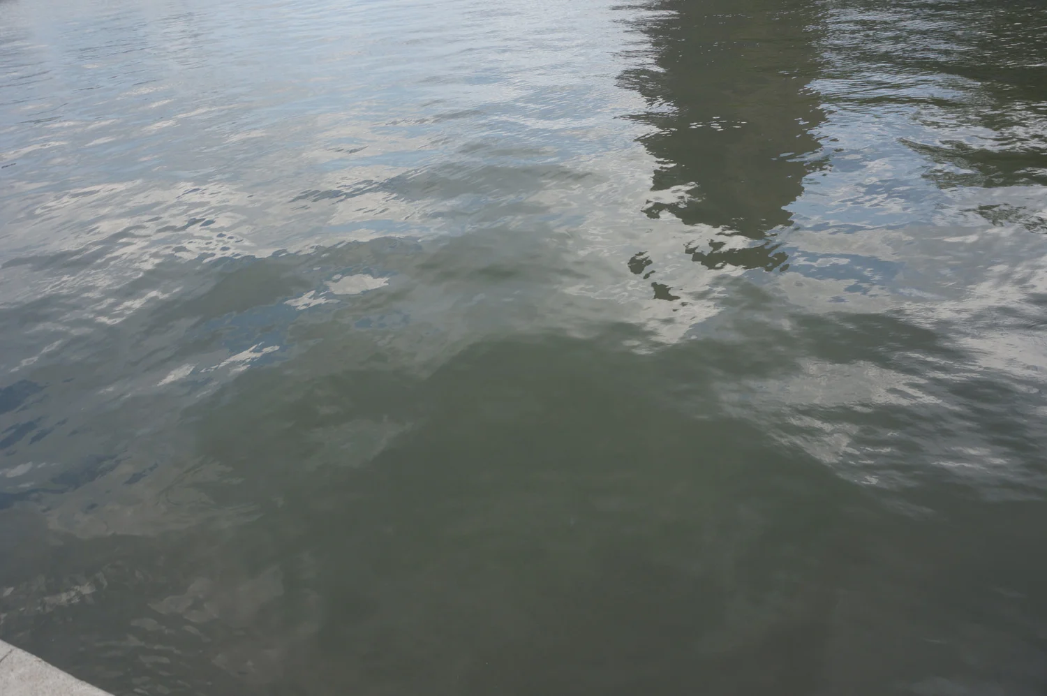 Lake Ontario Water Colours What The Lake S Hue Can Tell You Lake Ontario Waterkeeper