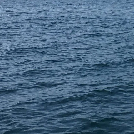 Lake Ontario Water Colours What The Lake S Hue Can Tell You Lake Ontario Waterkeeper