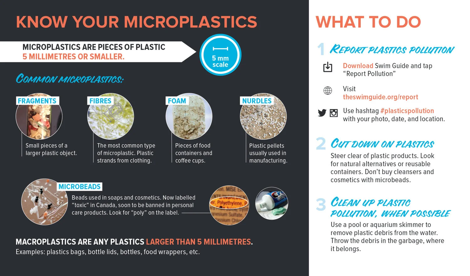 Microplastics can be found across waterways and on shorelines. To help simplify this macro problem, here are the 5 major types of microplastics. (Image via Lake Ontario Waterkeeper)