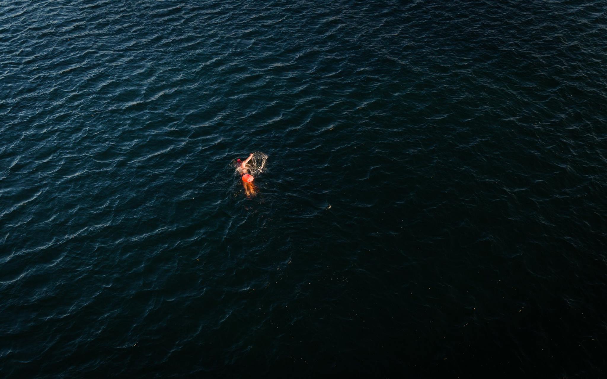 Loren King of the Great Lakes Trust swimming off of Oakville's shoreline in October. (Photo by Dylan Neild)