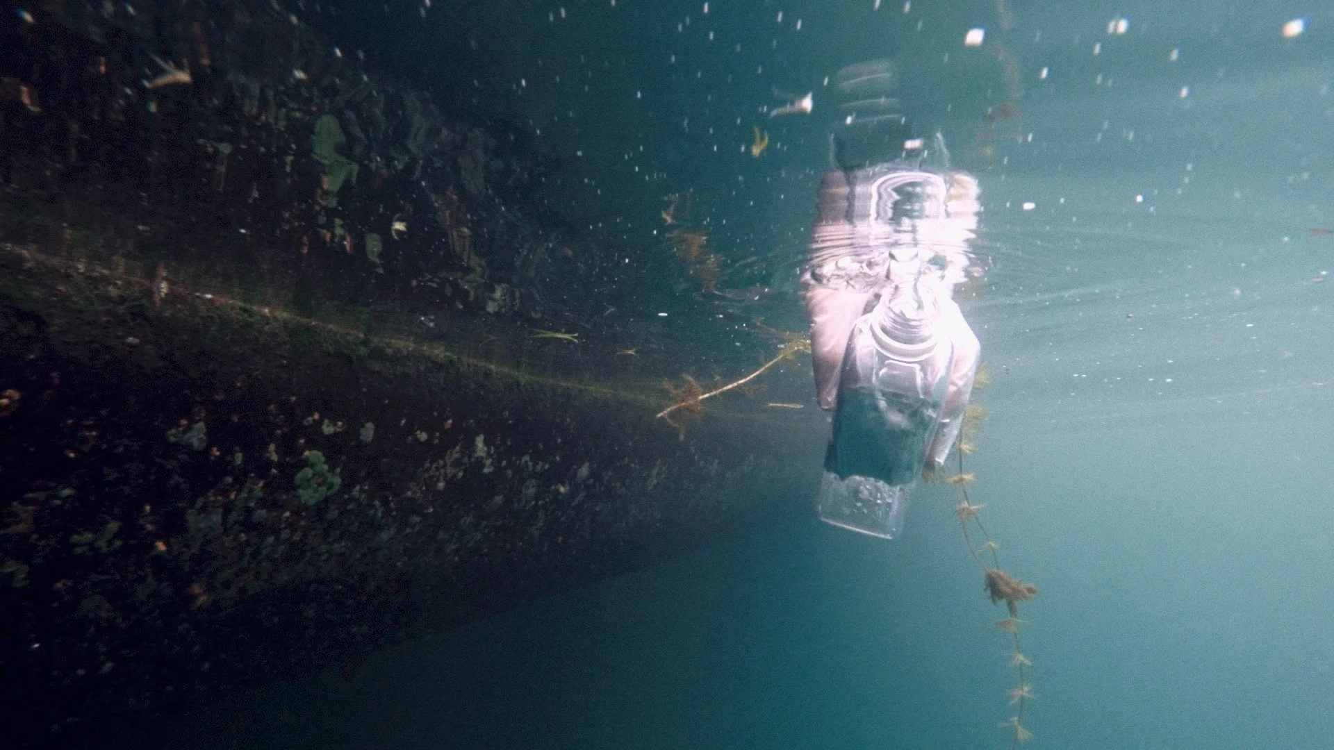 Sampling water from Toronto Harbour. (Photo by Dylan Neild)