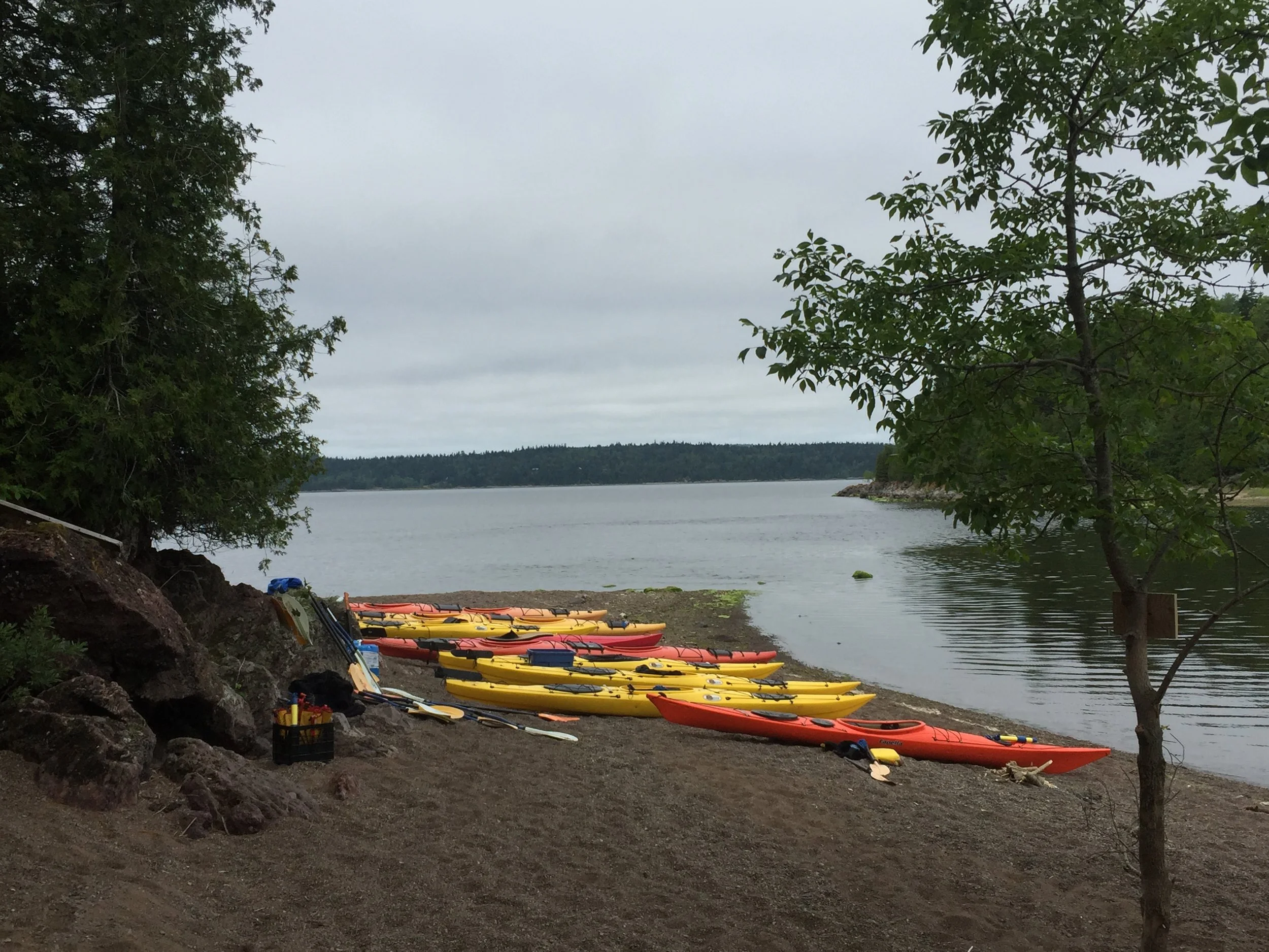 Photo from Lake Ontario Waterkeeper