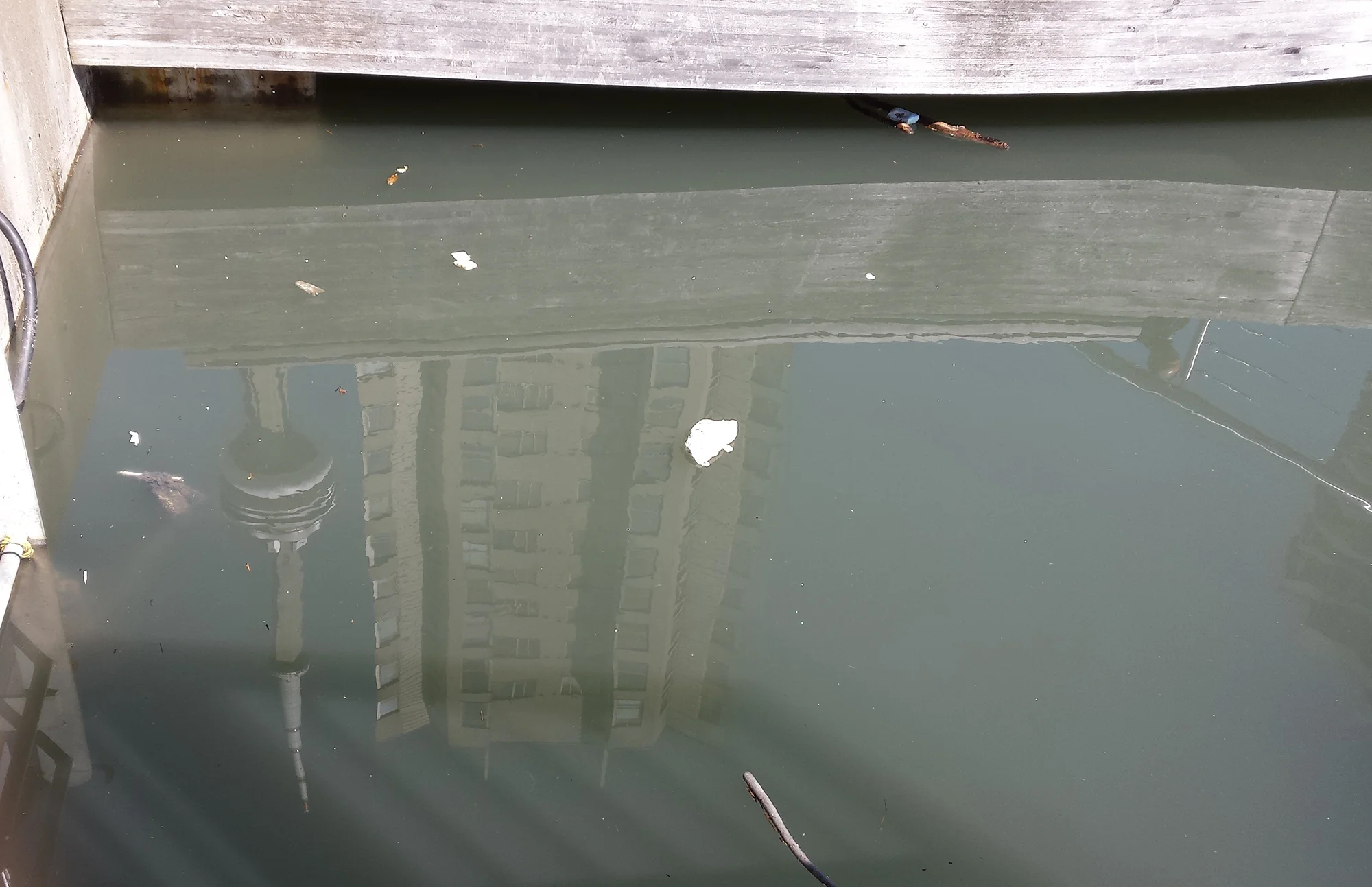 Shot of the water at Pier 4 Marina, taken May 3. Note the brown murkiness of the water, as opposed to the typical Toronto Harbour colour of dark green. Photo by Lake Ontario Waterkeeper.