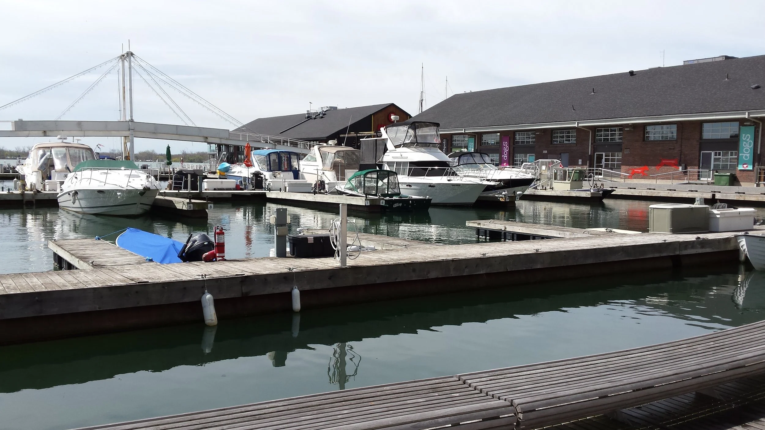 Pier 4 Marina. The green water is a welcome sight. Photo by Lake Ontario Waterkeeper.