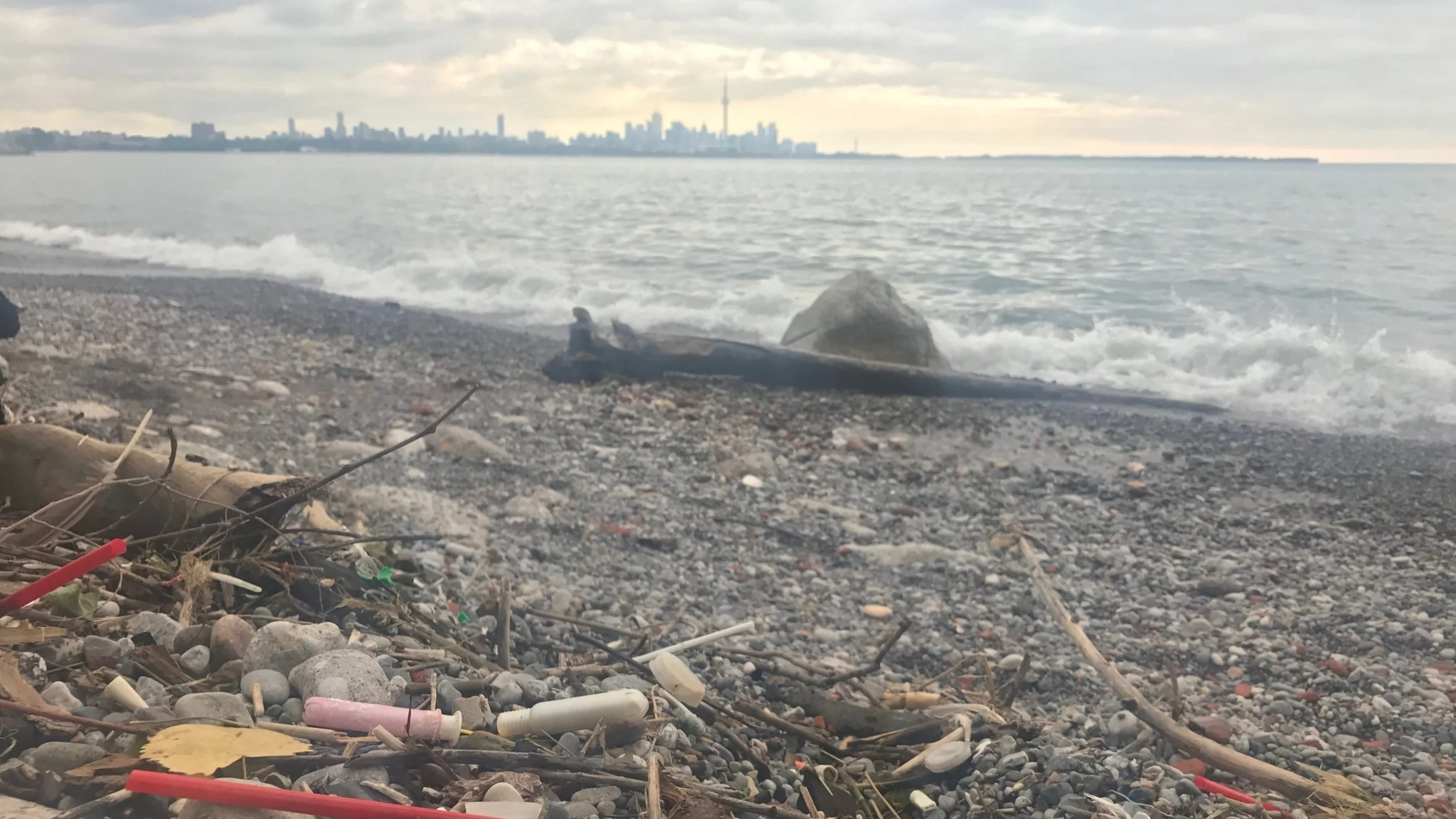 In the distance, the City of Toronto skyline as seen from Humber Bay West Park. In the foreground, tampon applicators dot the beach.