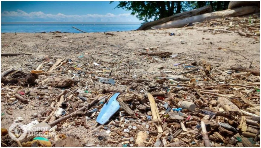 Fragments of plastic at Sunnyside Beach, Toronto, ON