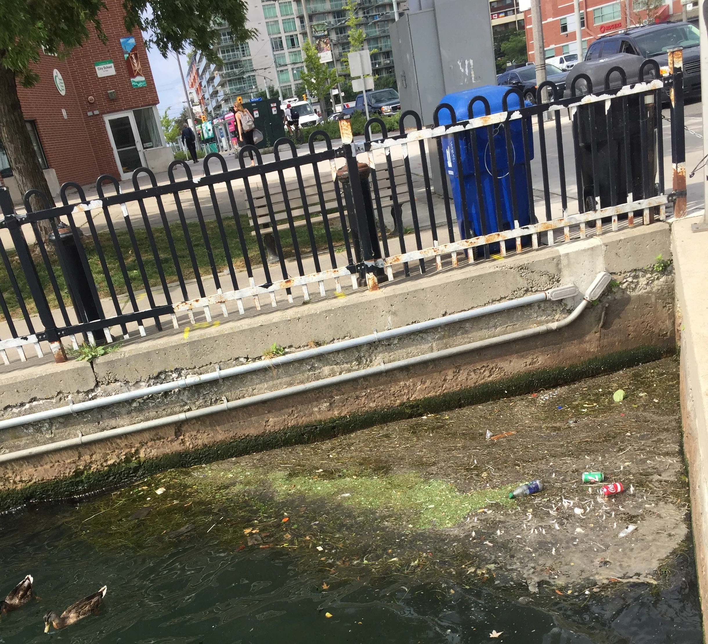 The northwest corner of Bathurst Quay changed every week. Pollution build-up of this kind was common.