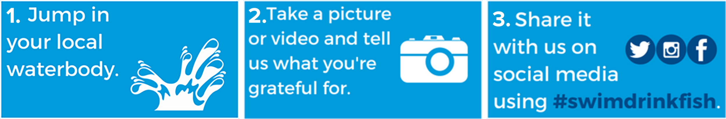 GratitudeSwim_GordEdgarDowniePier_LakeOntarioWaterkeeper_Kingston.png