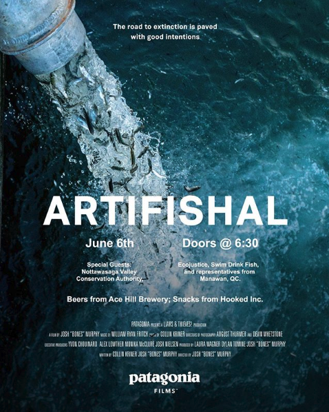 Artifishal - Patagonia Toronto - Lake Ontario Waterkeeper - Swim Drink Fish - Hooked Inc..png