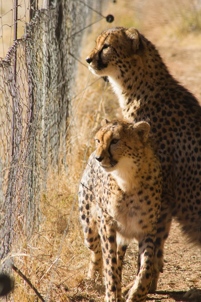 IMG_2061-2012.jpg