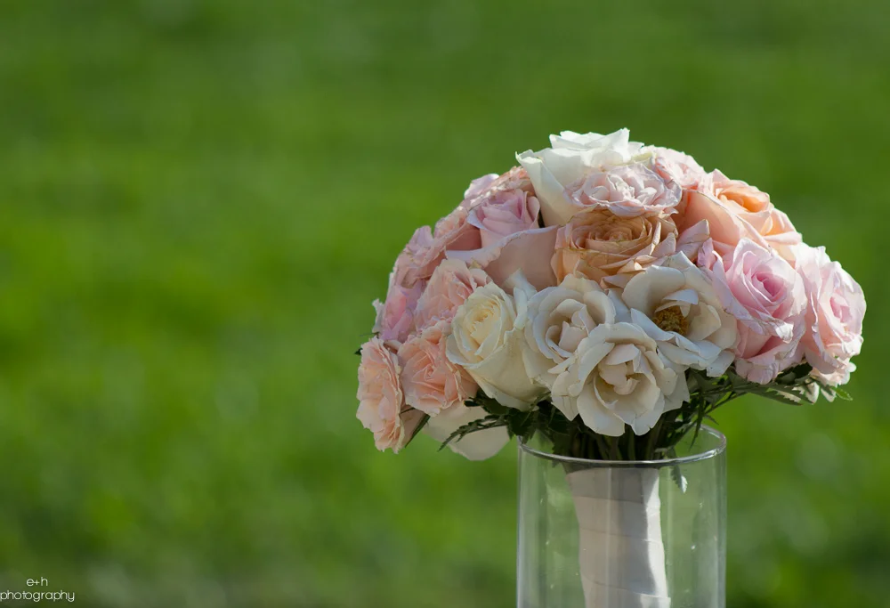 IMG_7032-2012.jpg