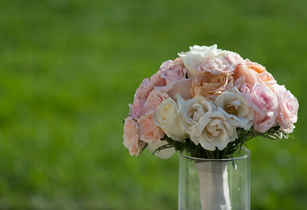 IMG_7032-2012.jpg