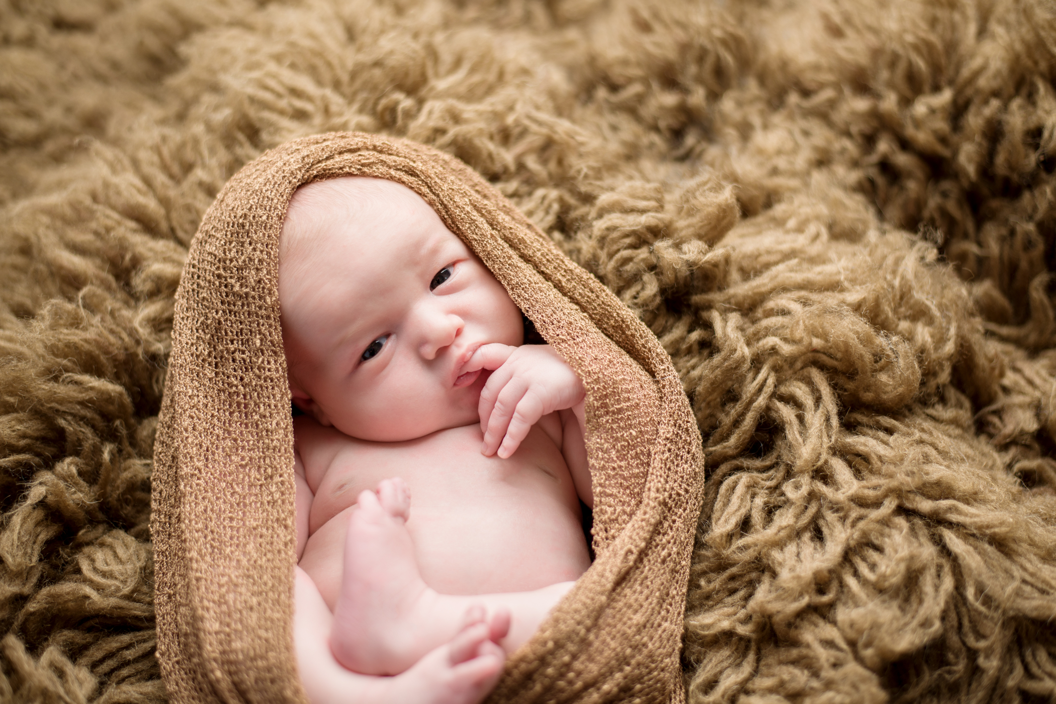 SCP.HenryNewborn.103014-29.jpg