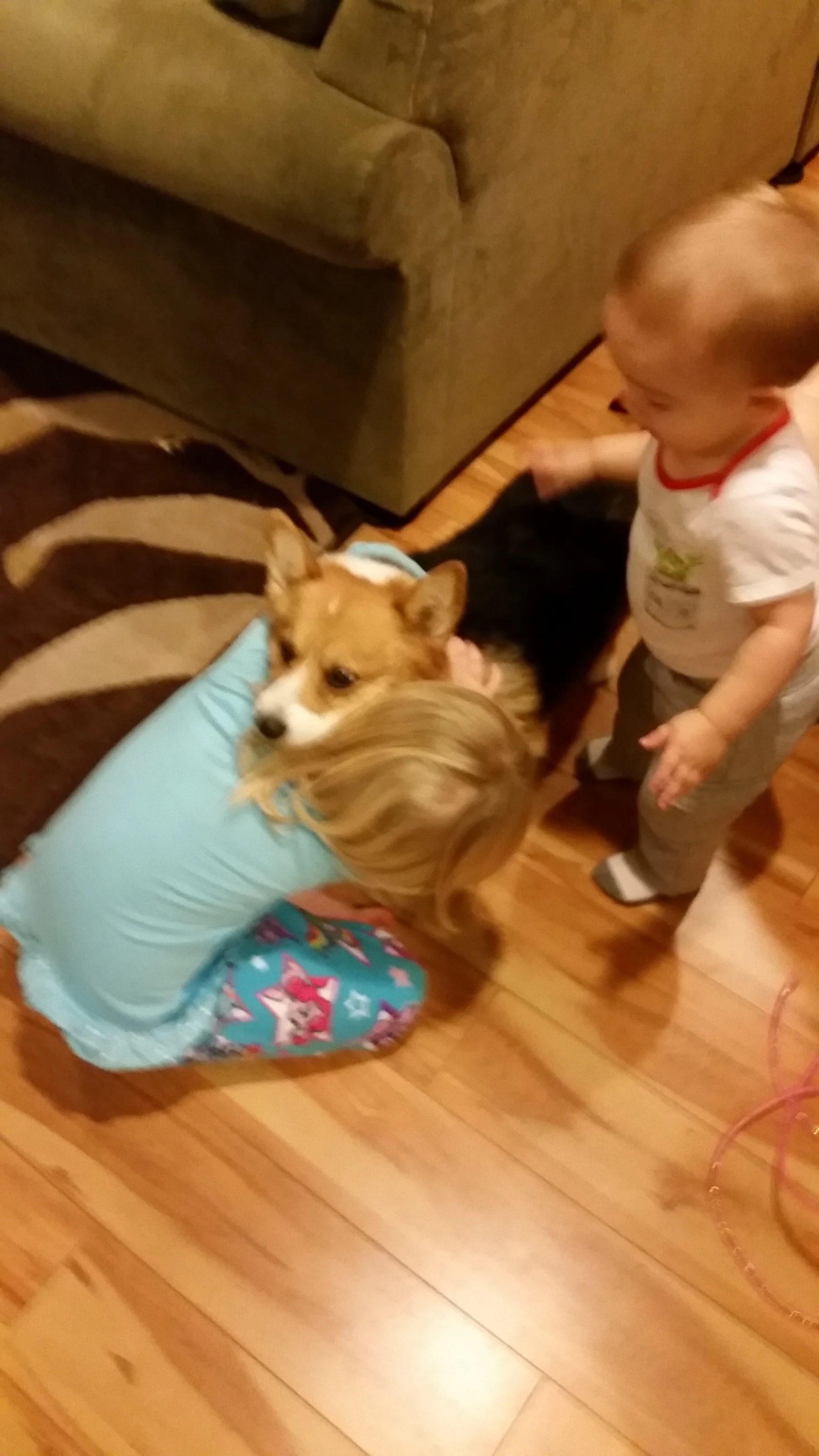 2016-02-15 18.26.08.jpg