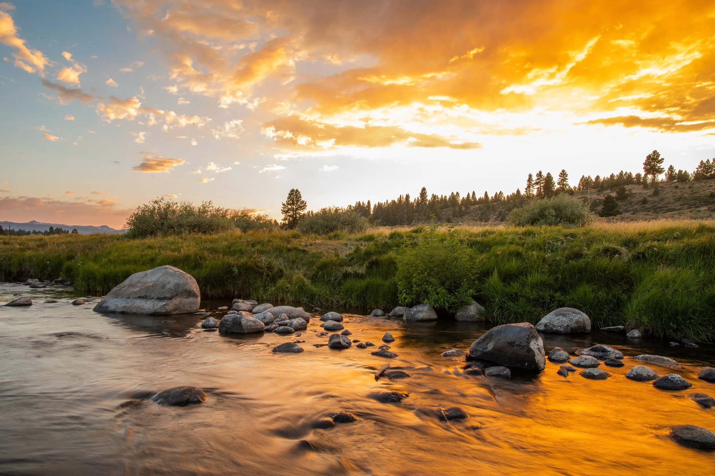 MichaelKwiecinski-TruckeeRiverMeadow.jpeg