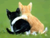 All together now - Awww.