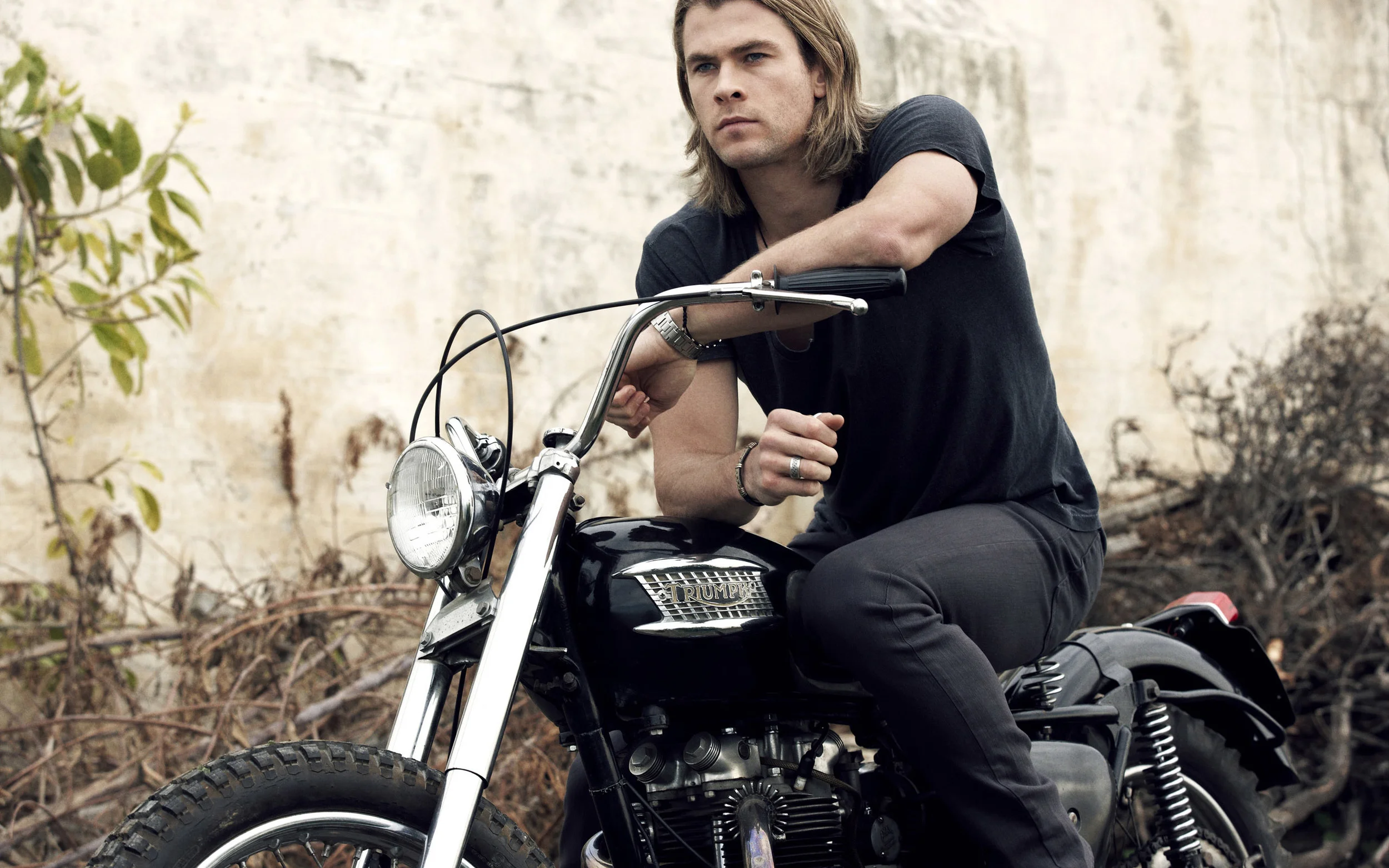Chris Hemsworth, a.k.a. Thor . Intimidating on the outside, but soft on the inside.