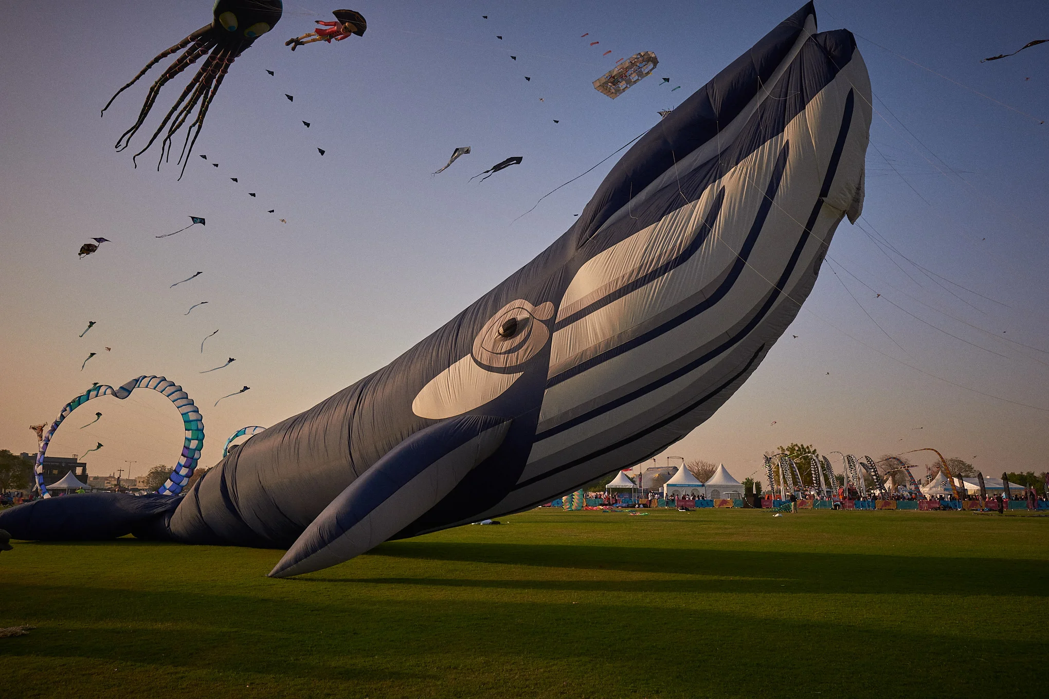 Doha International Kite Festival