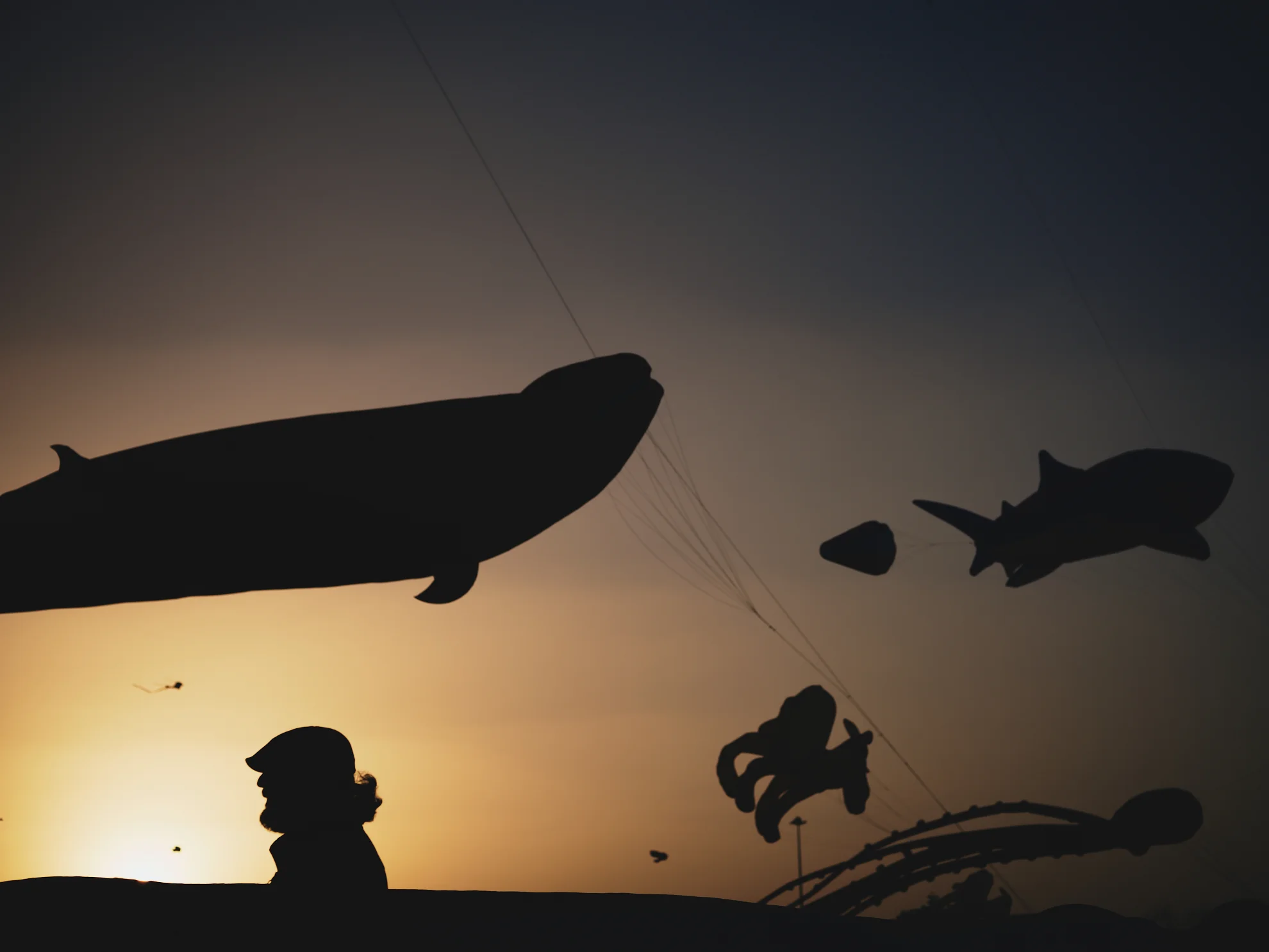 aspire kite festival photography whale