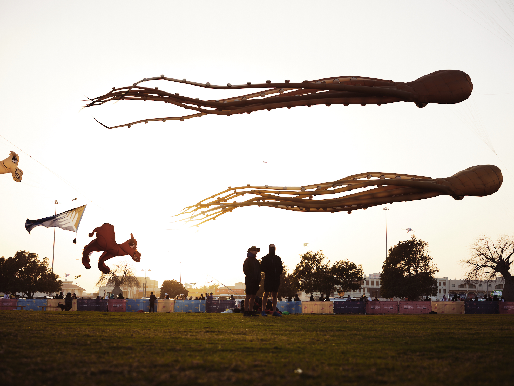 aspire kite festival photography octopus