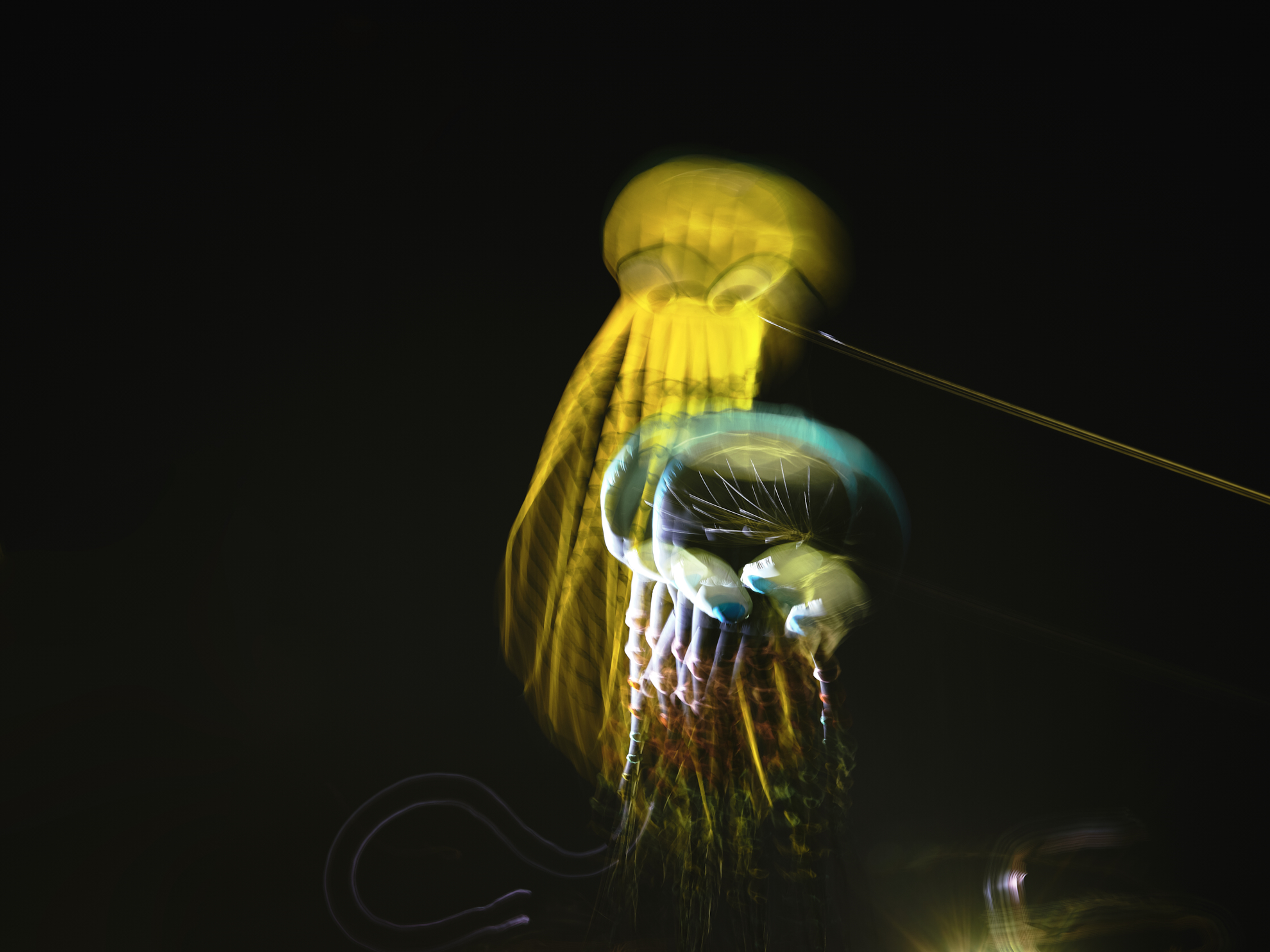 aspire kite festival photography octopus night flying