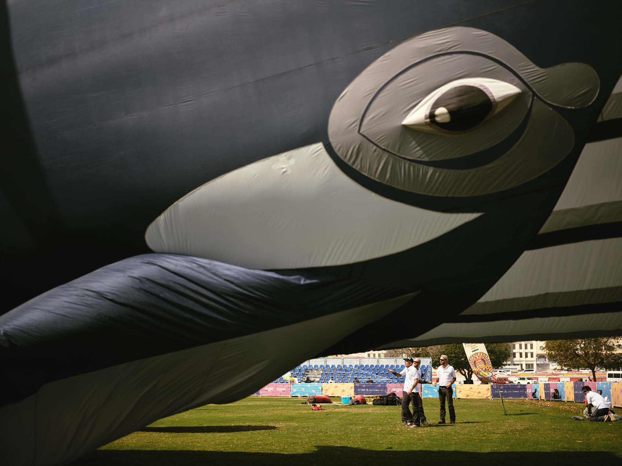 aspire kite festival photography whale