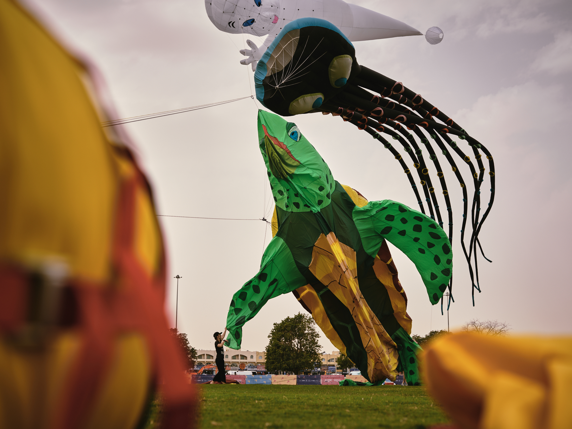 aspire kite festival photography octopus