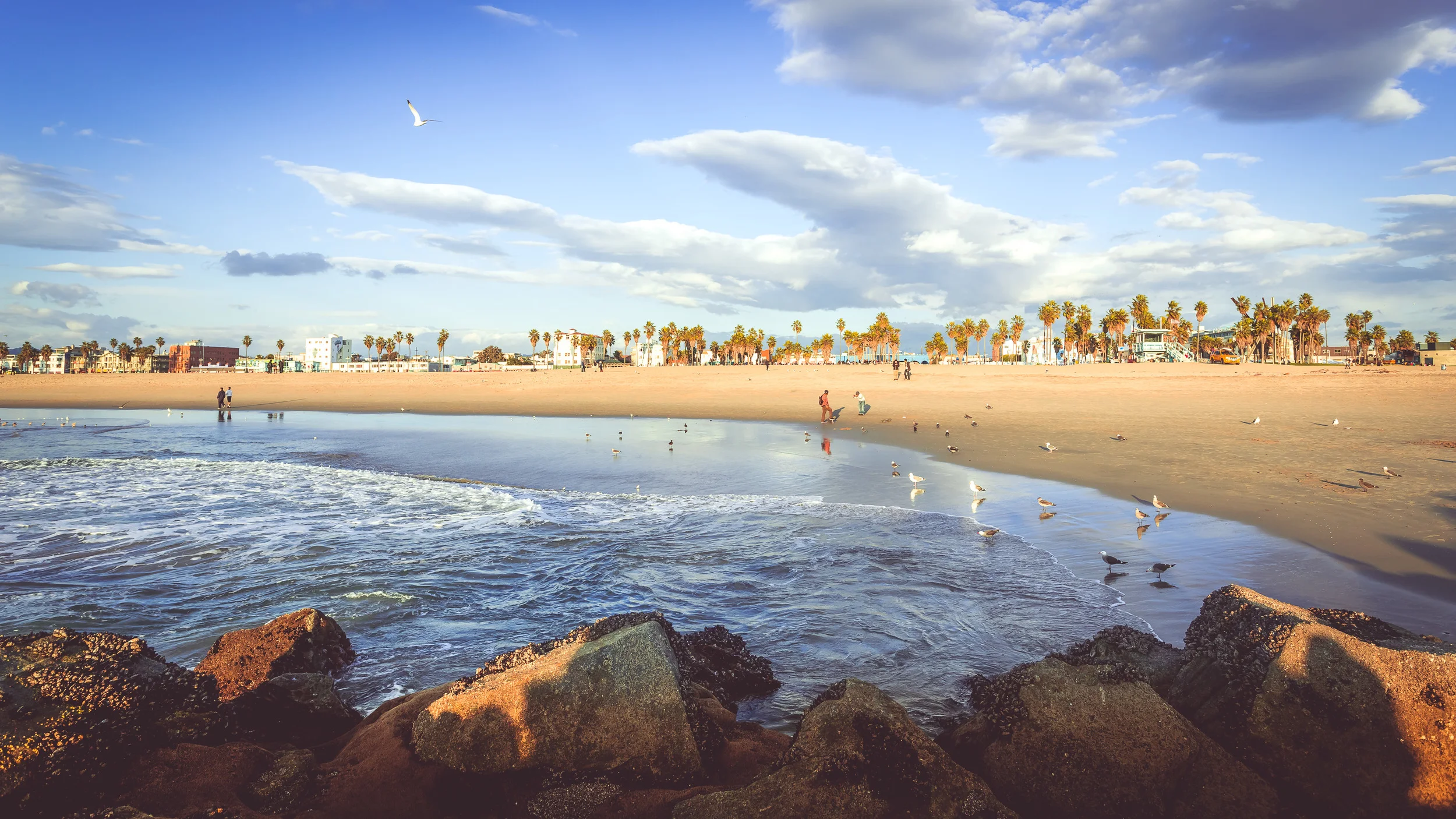 VENICE BEACH