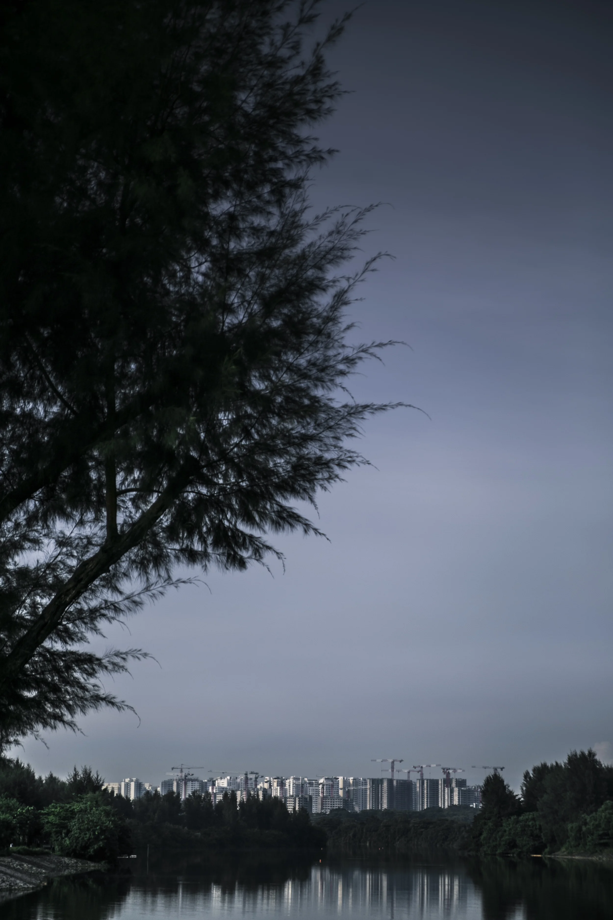 QF1A0590.jpg