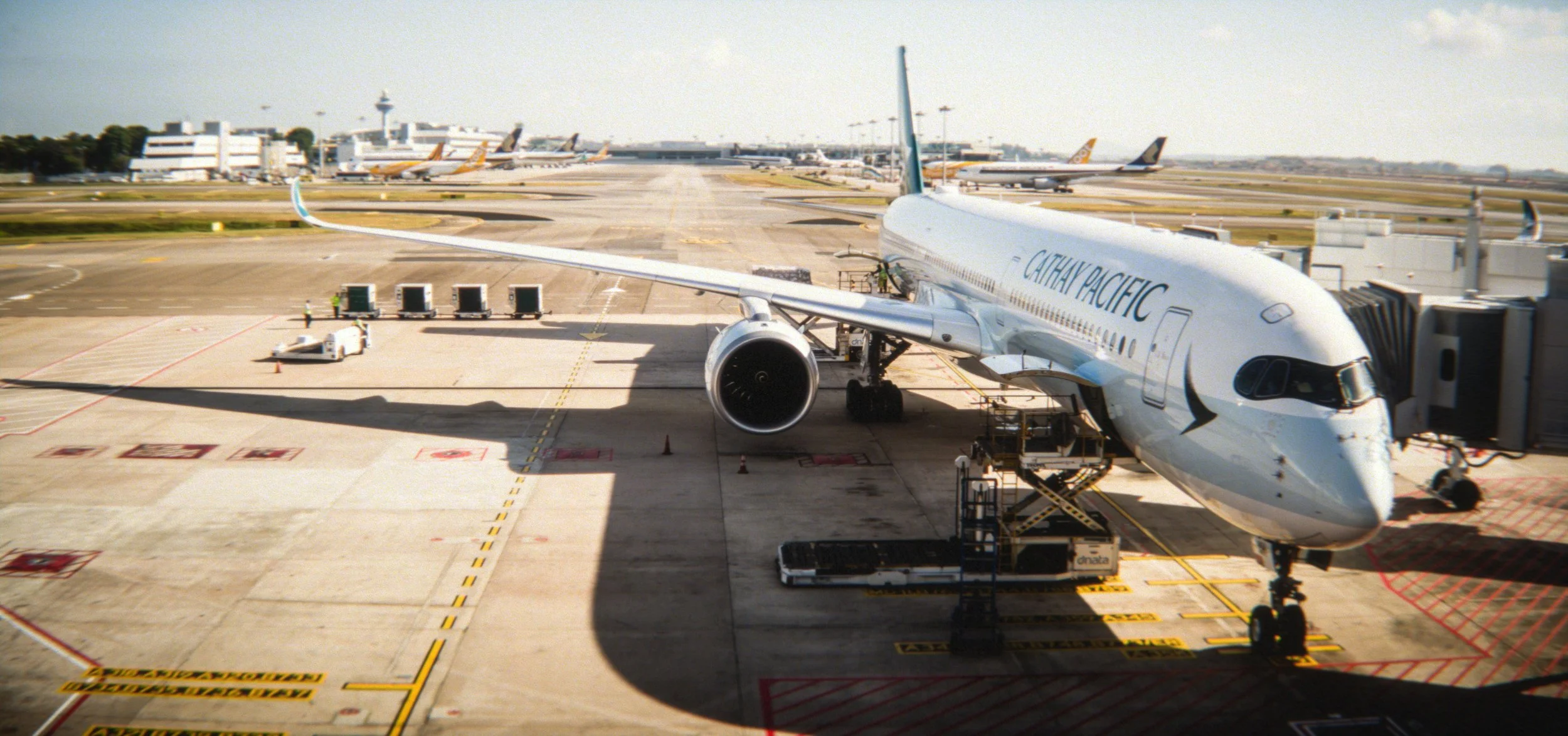 lax2019film.1010.jpg