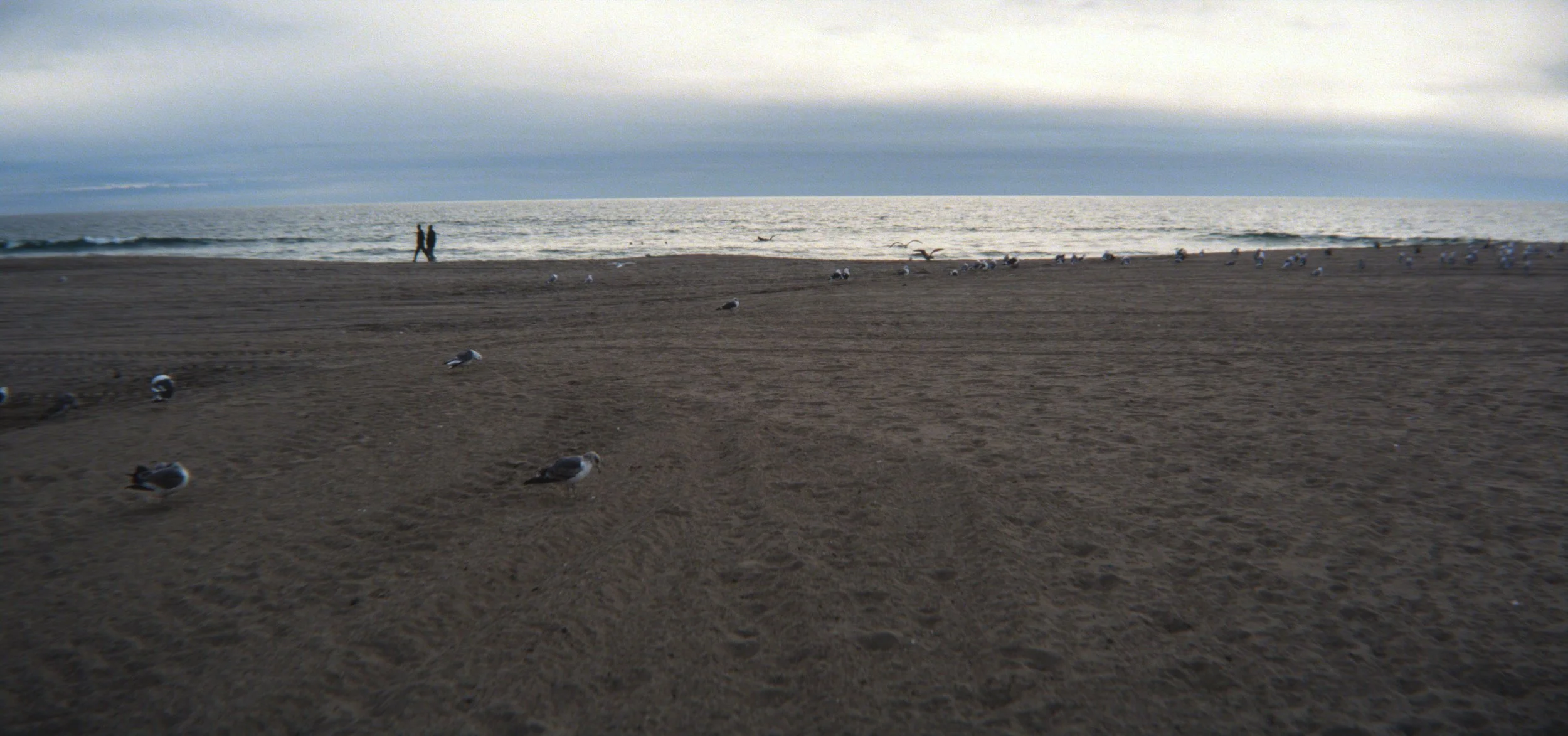 lax2019film.1121.jpg