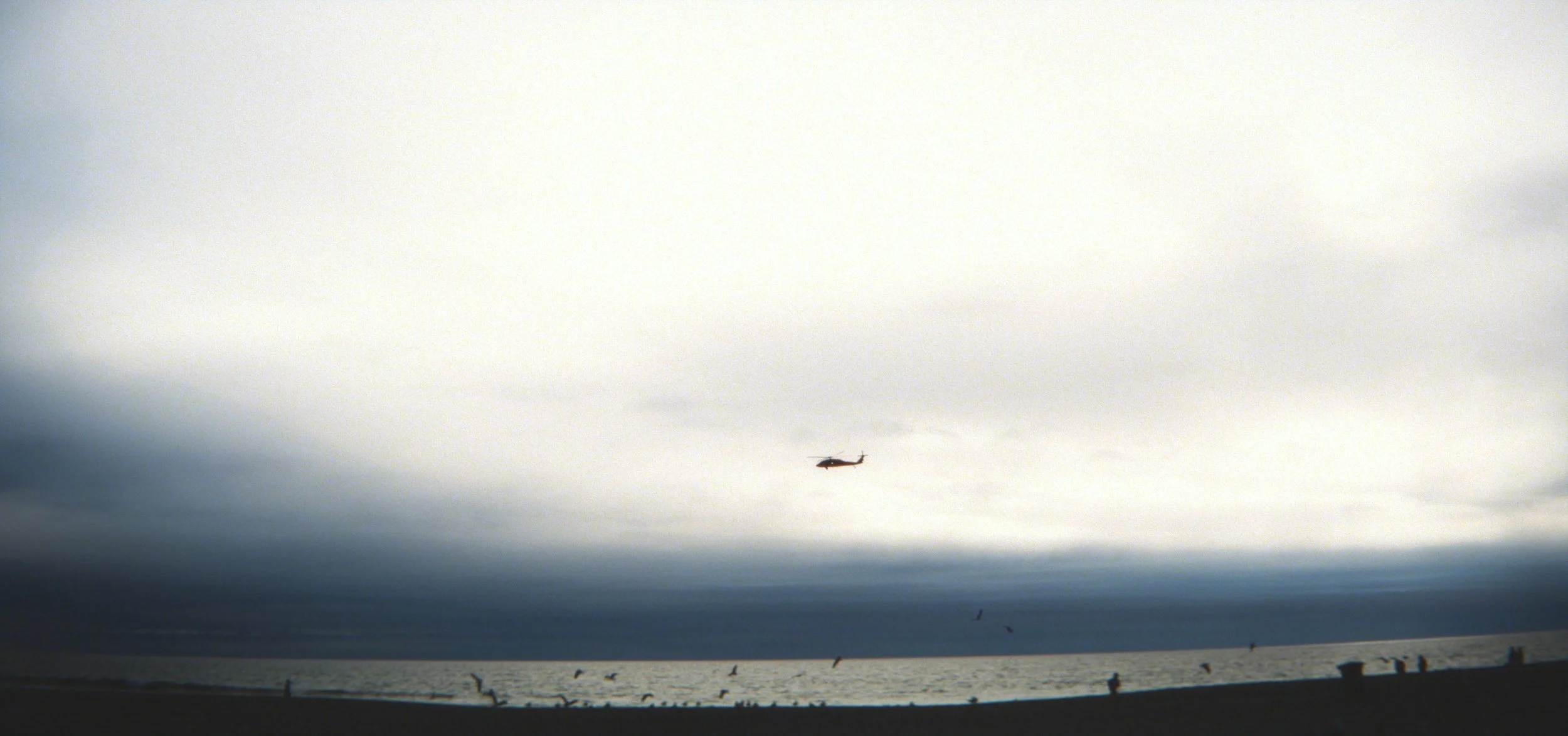 lax2019film.1122.jpg