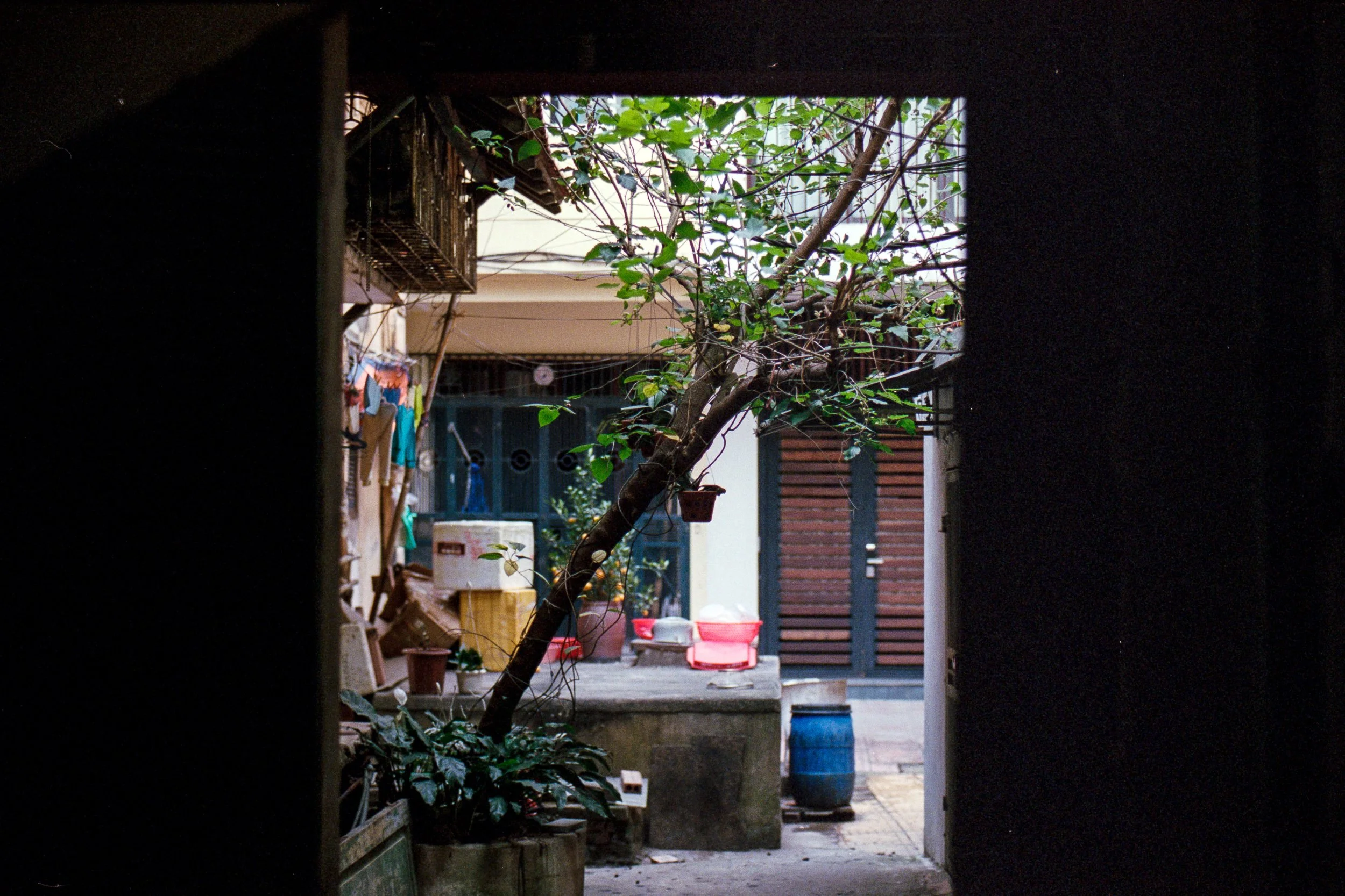 vn2019.1017.jpg