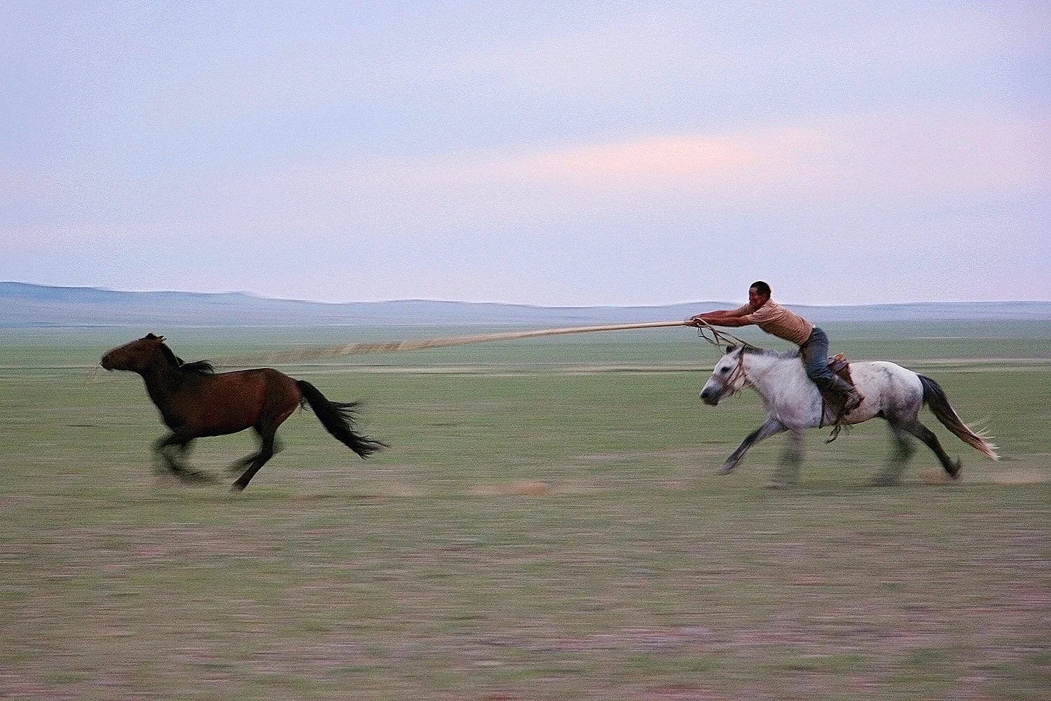 Nomadic Horseman, Mongolia