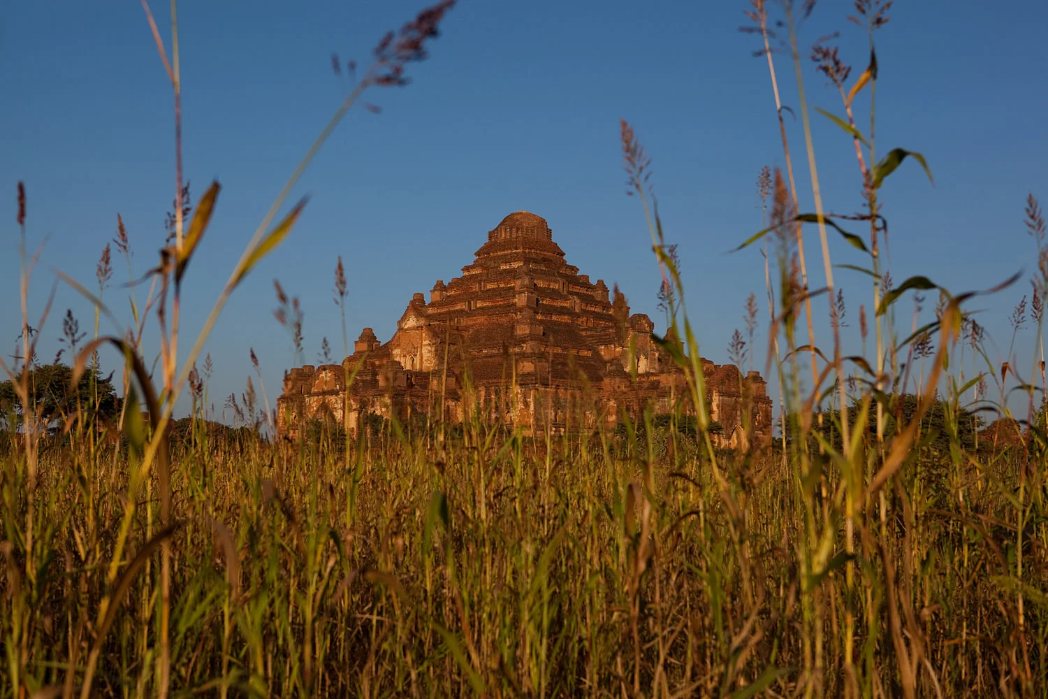 Dhammayangyi temple, Bagan, Myanmar