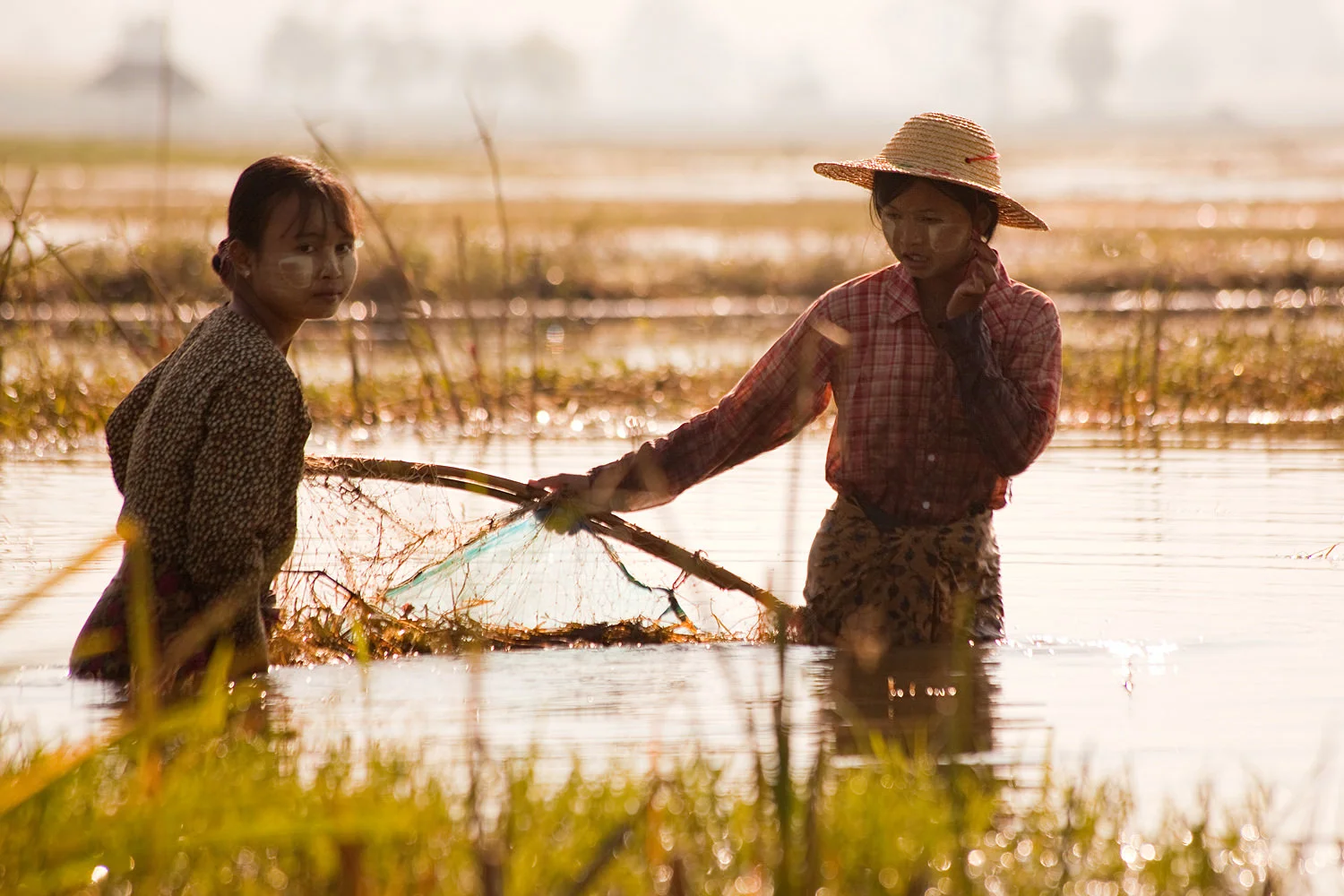 weed clearing, Inle Lake, Myanmar