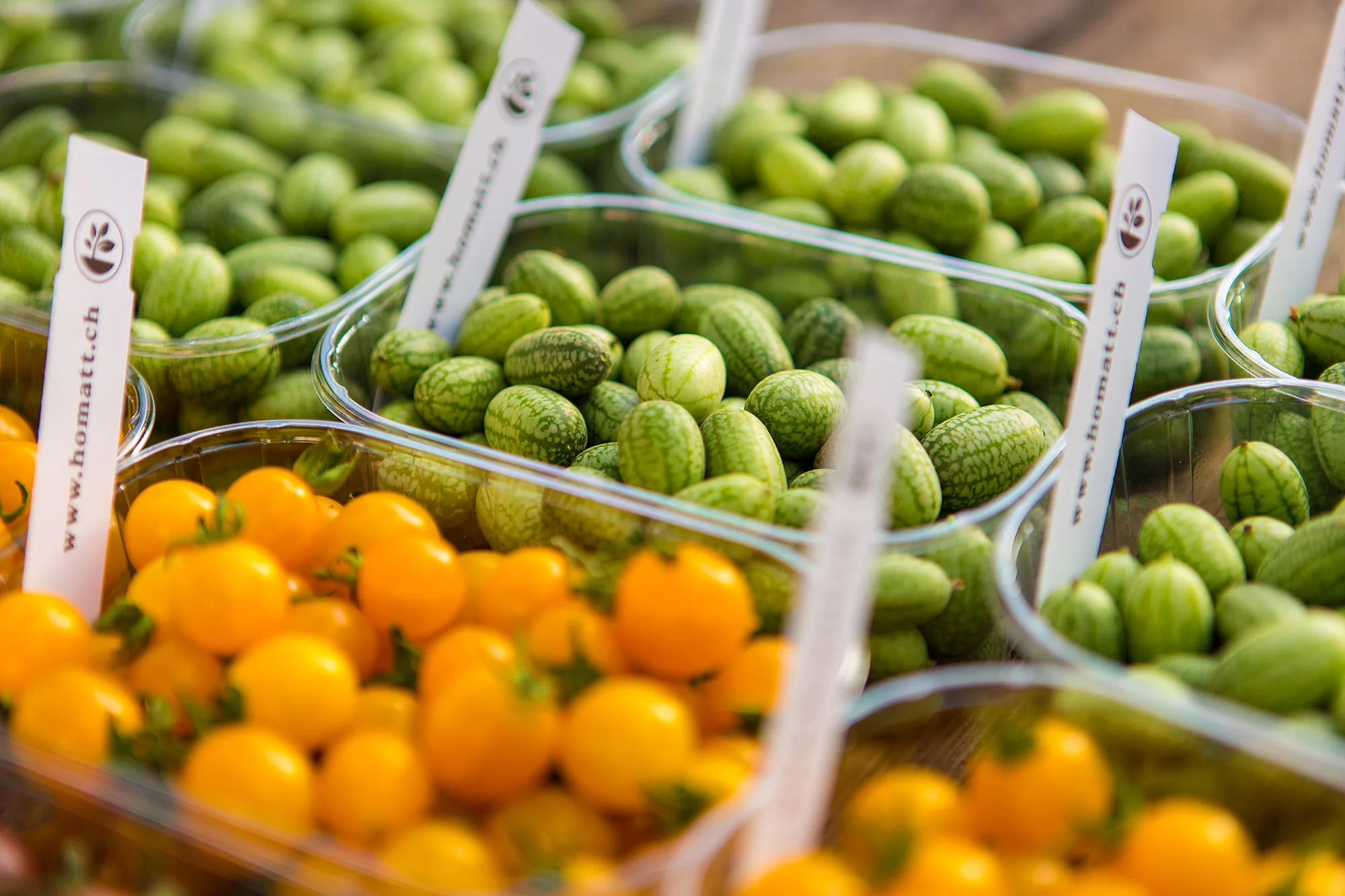 Farmers Market, Lucerne, Switzerland