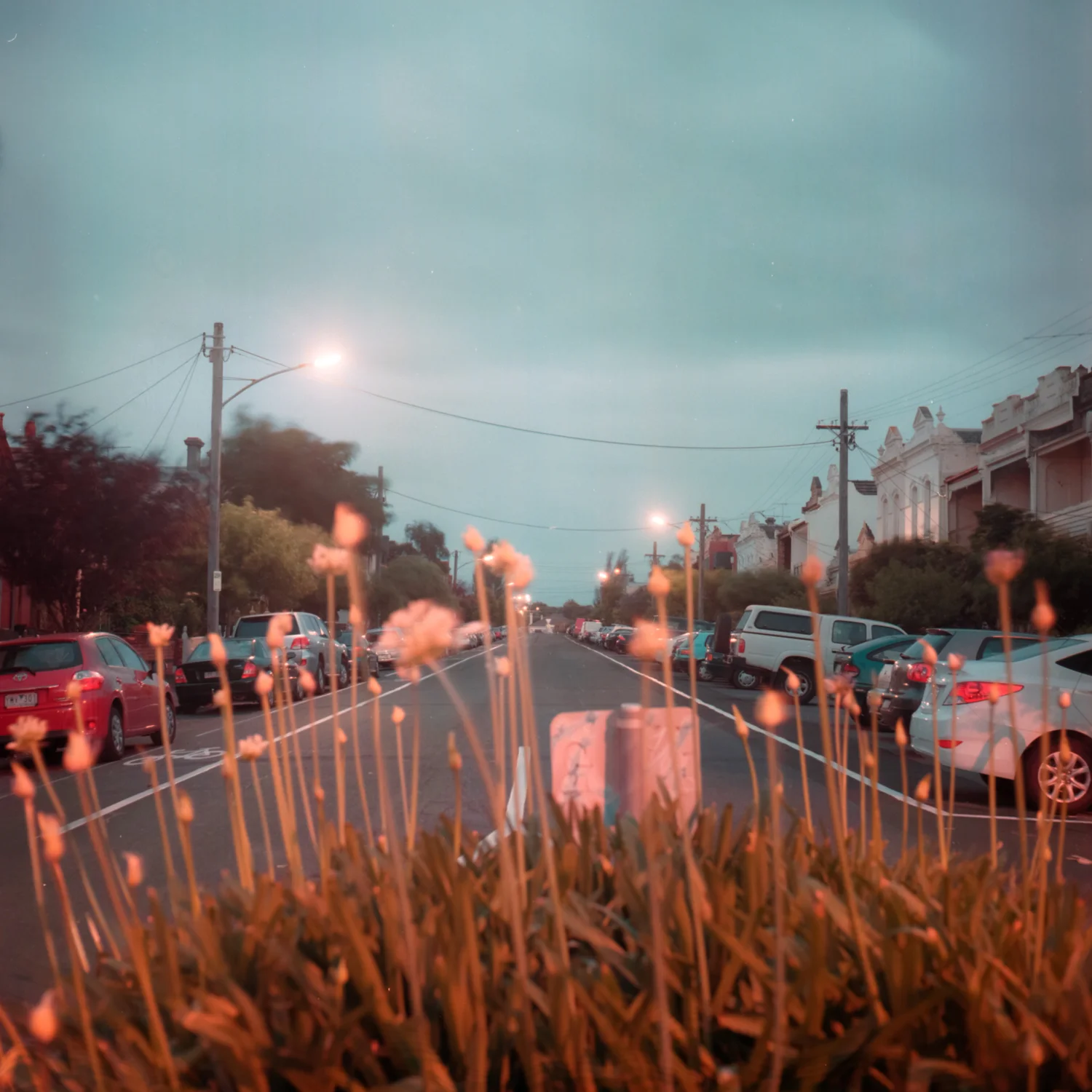 Street