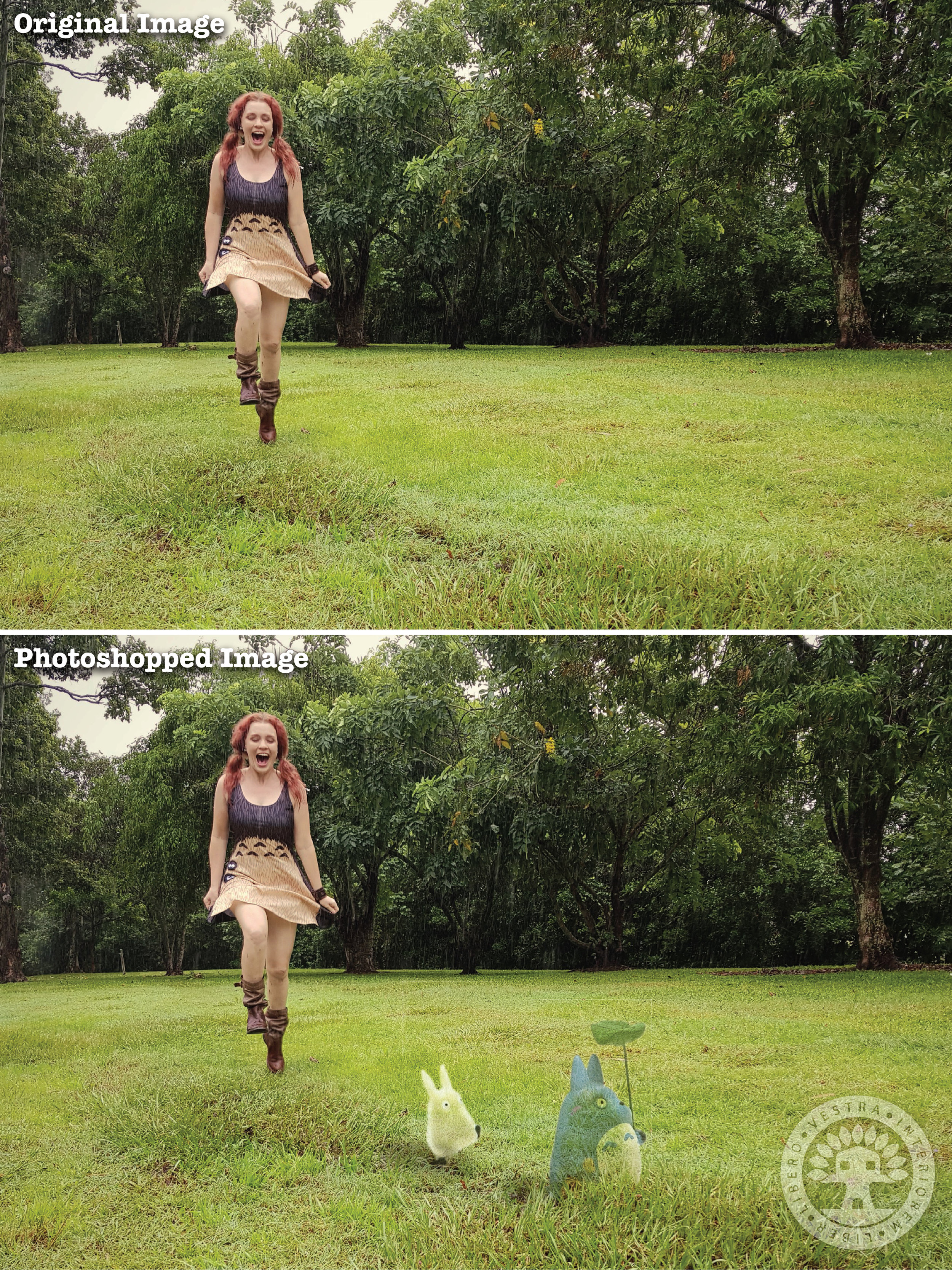 "Totoro Dress" before and after Photoshop . ~ Corinne Jade, ClubHouse Collective