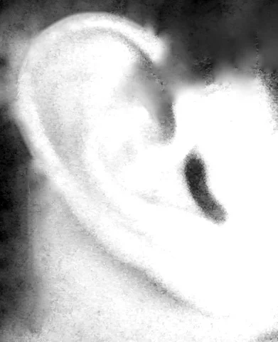Ear.jpg