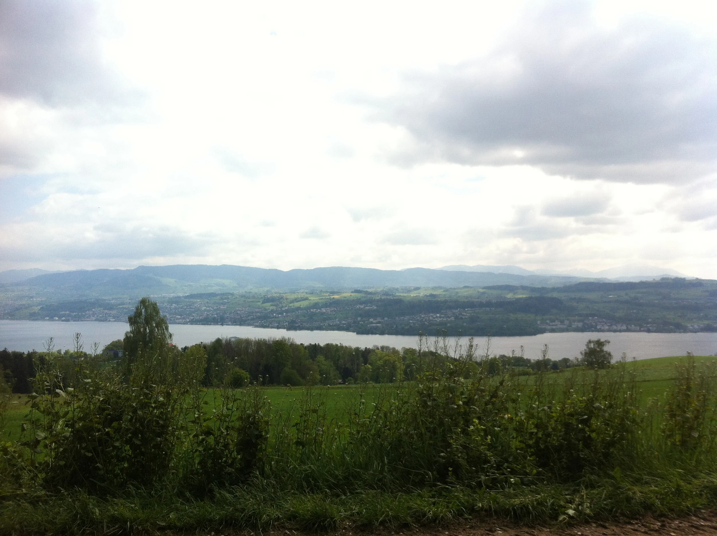 2014-05-04 15.20.14.jpg