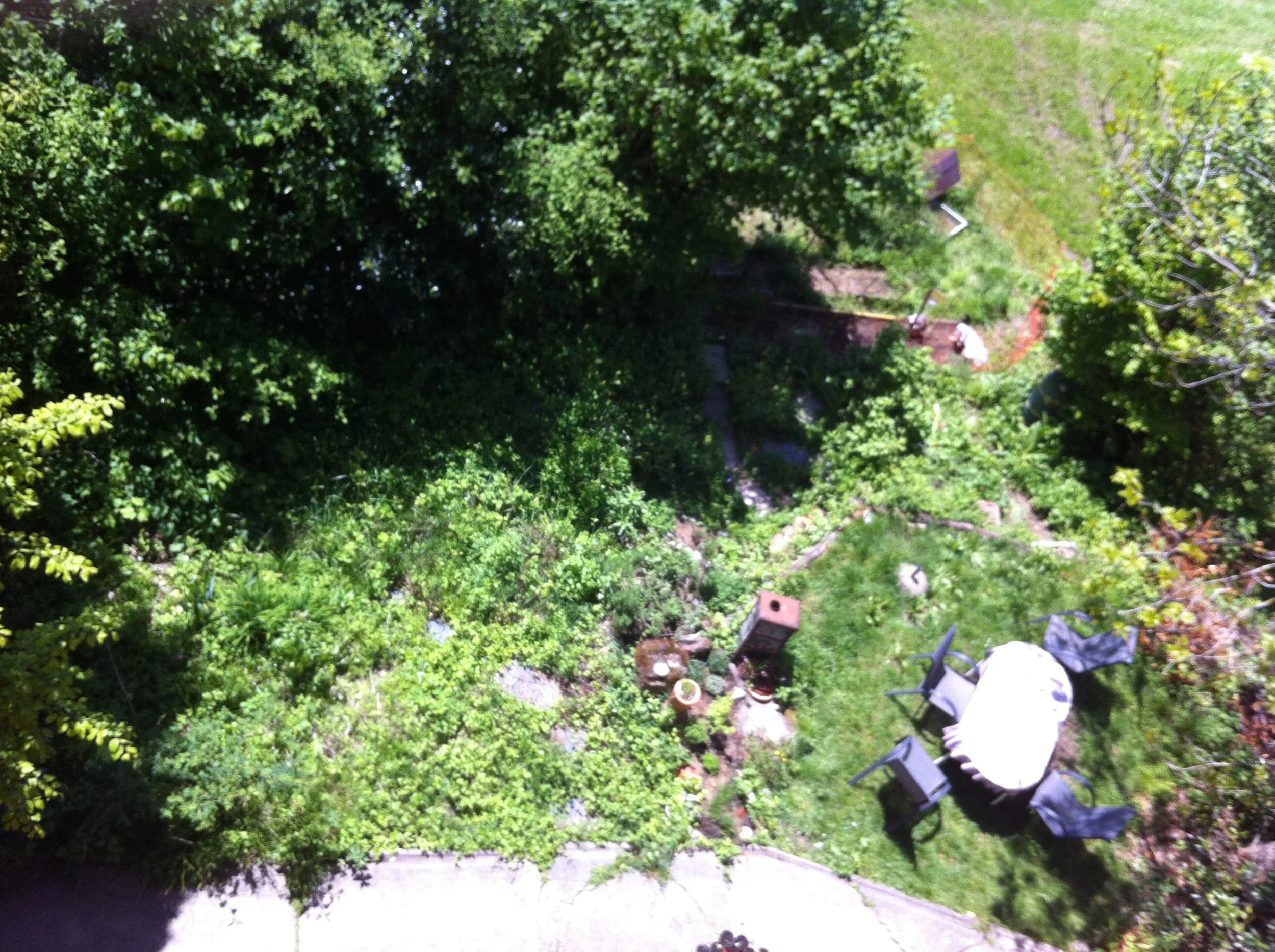 2014-05-05 13.12.45.jpg